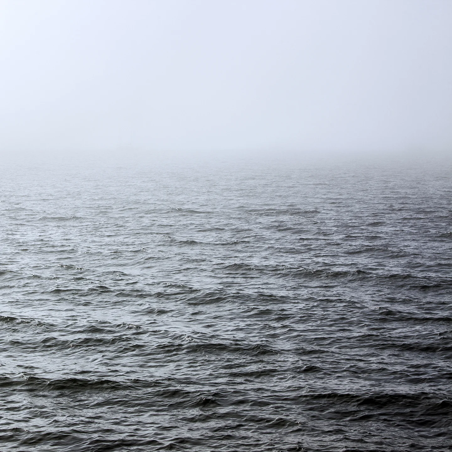 water-mist-terra-desiree-patterson-web.jpg