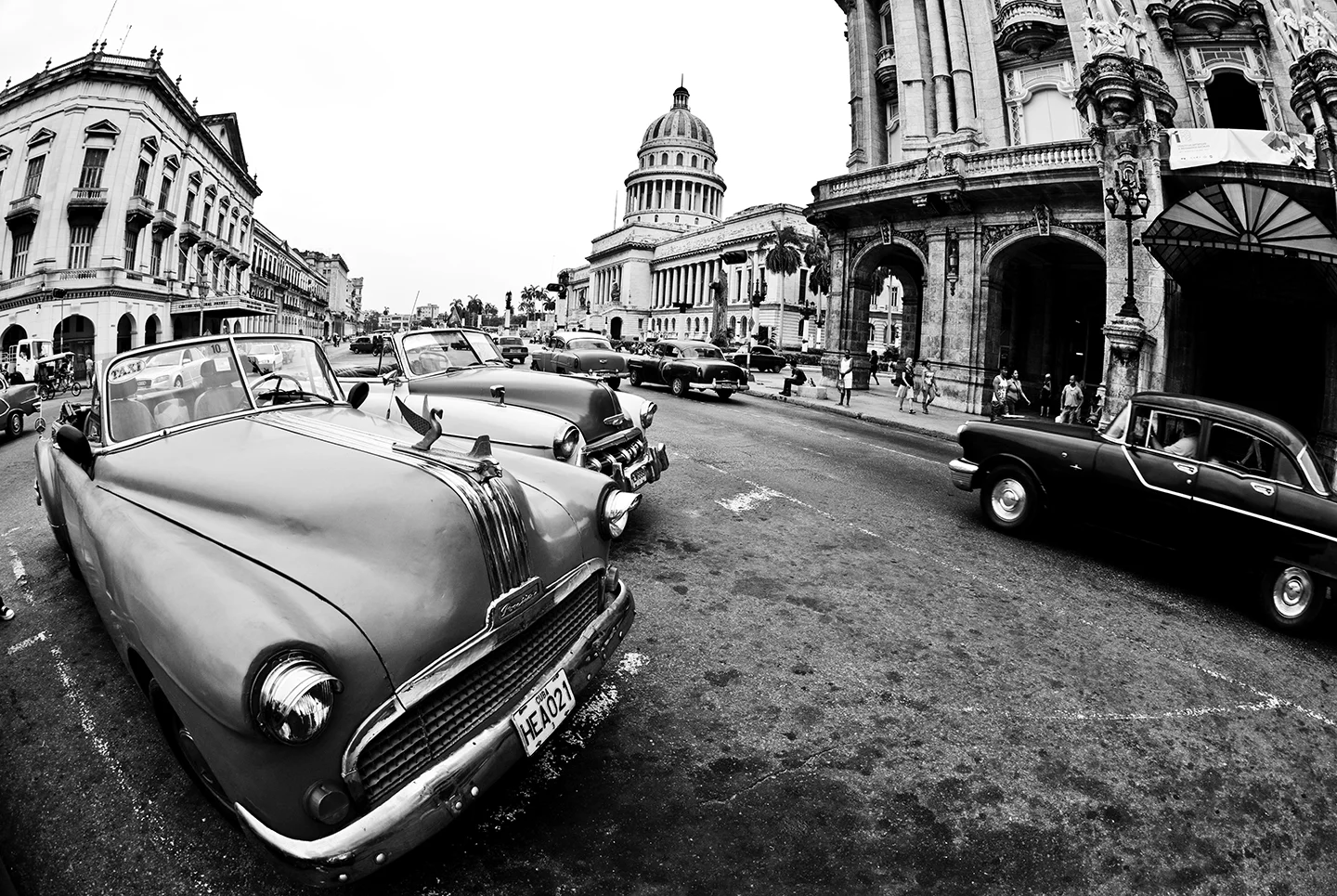 HAVANA_desiree-patterson-web.jpg