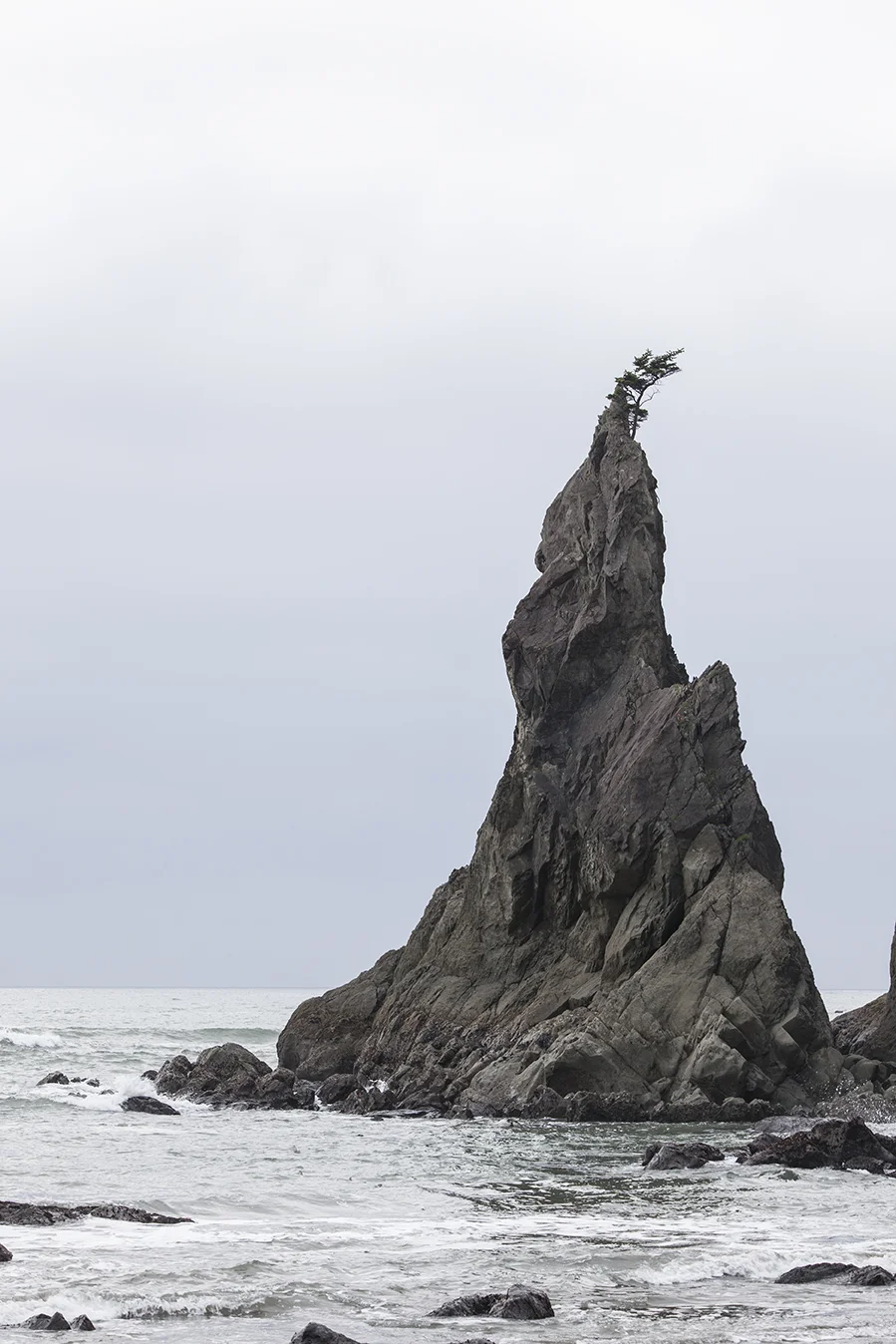 029_West Coast Sample.jpg
