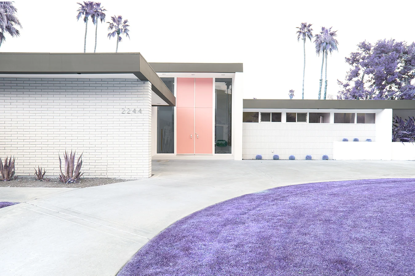 22_Infrared Palm Springs.jpg
