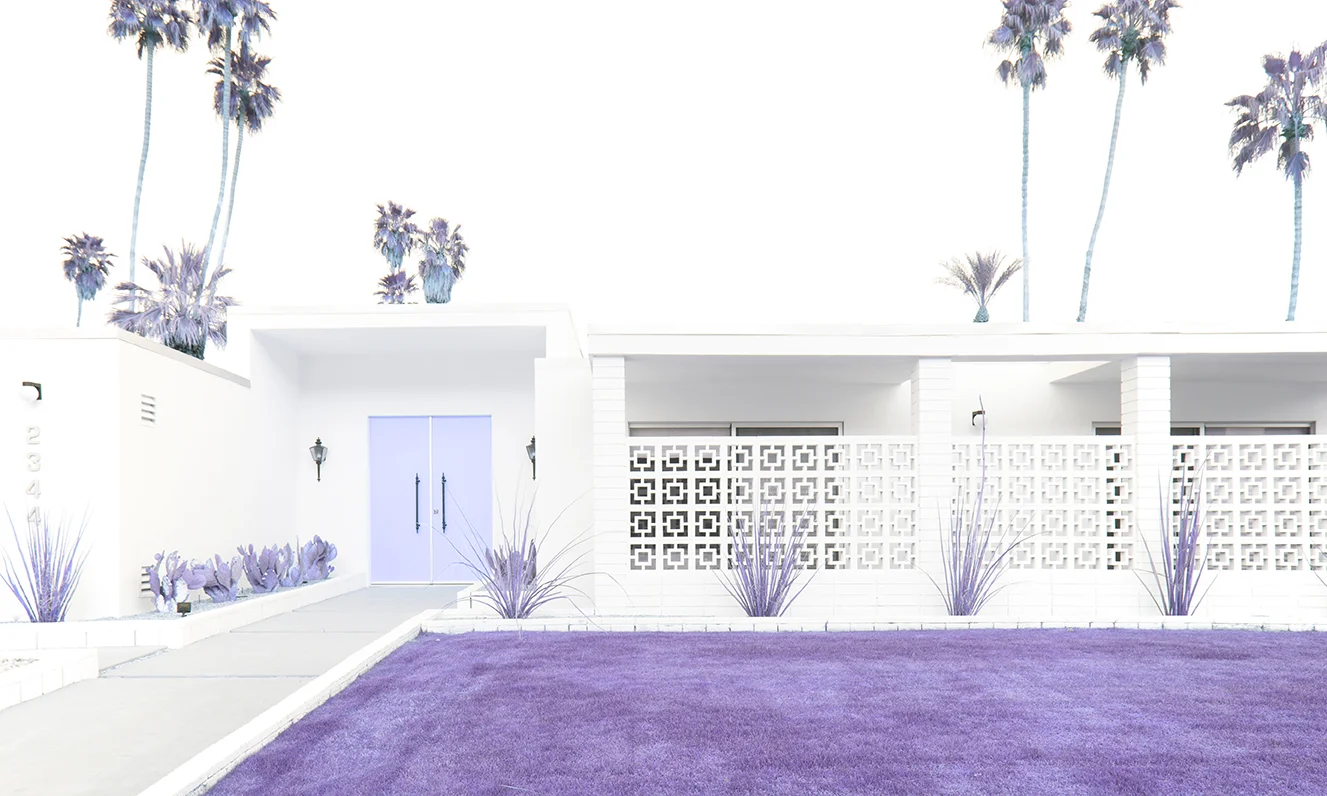24_Infrared Palm Springs.jpg