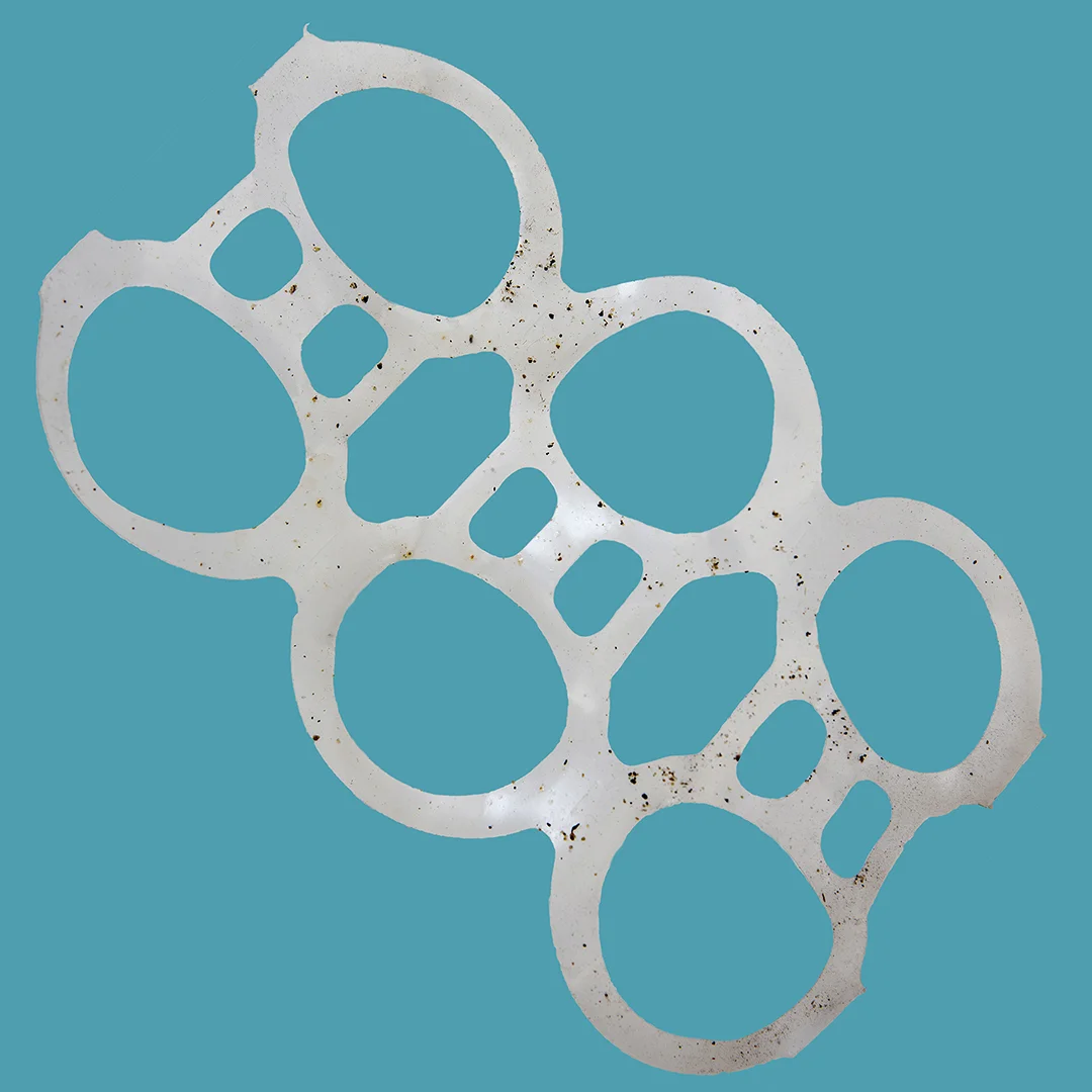 Desiree_Patterson_Litter Project_6 pack web.jpg