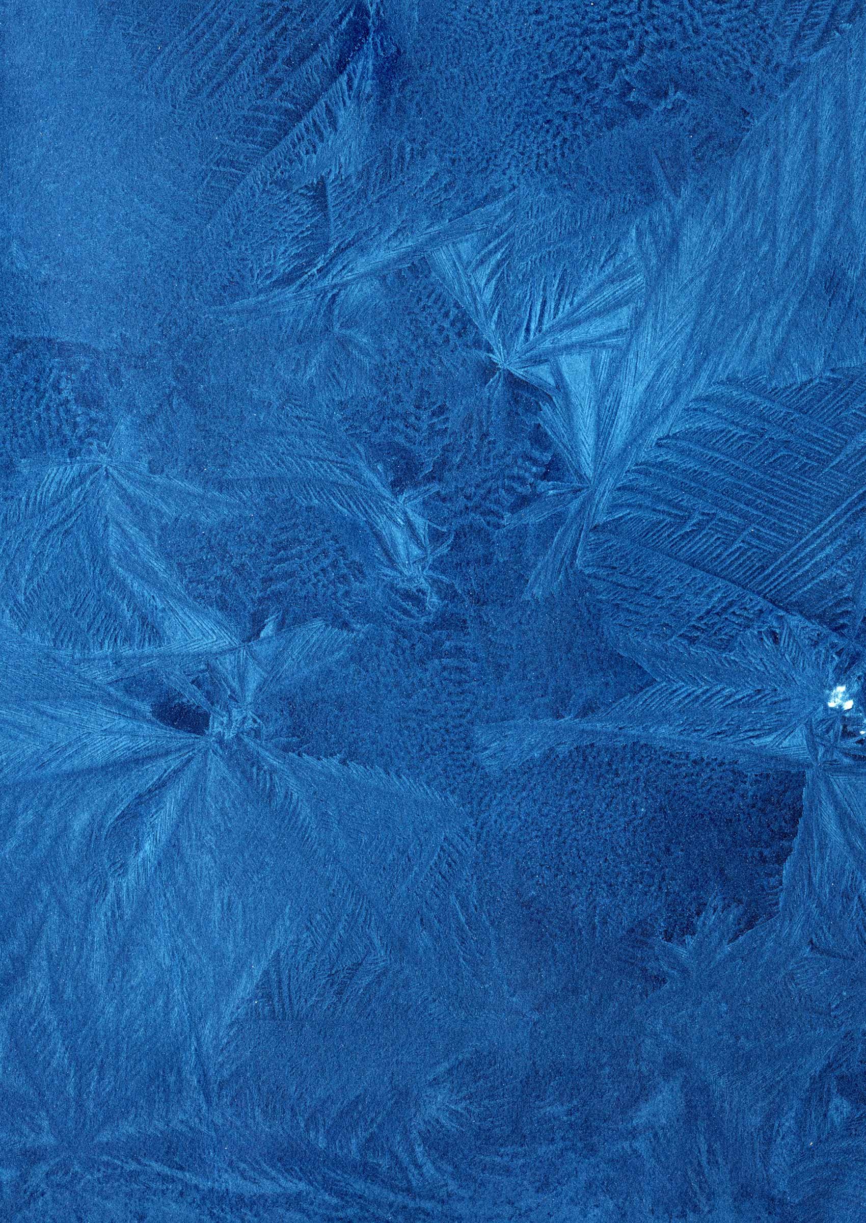 Desiree-Patterson-Memory-of-ICe_web.jpg