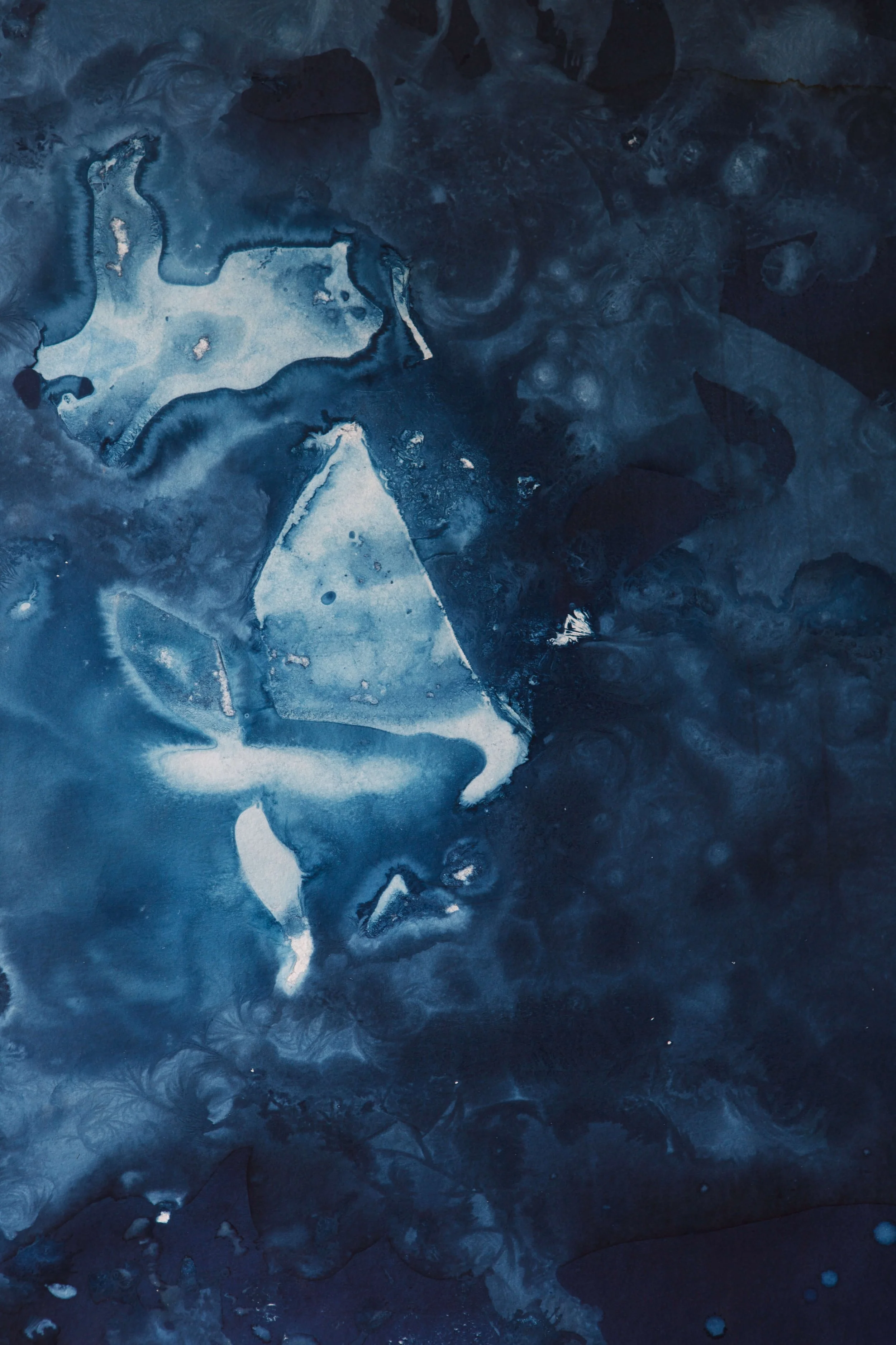 IMG_7722 workfile copy.jpg