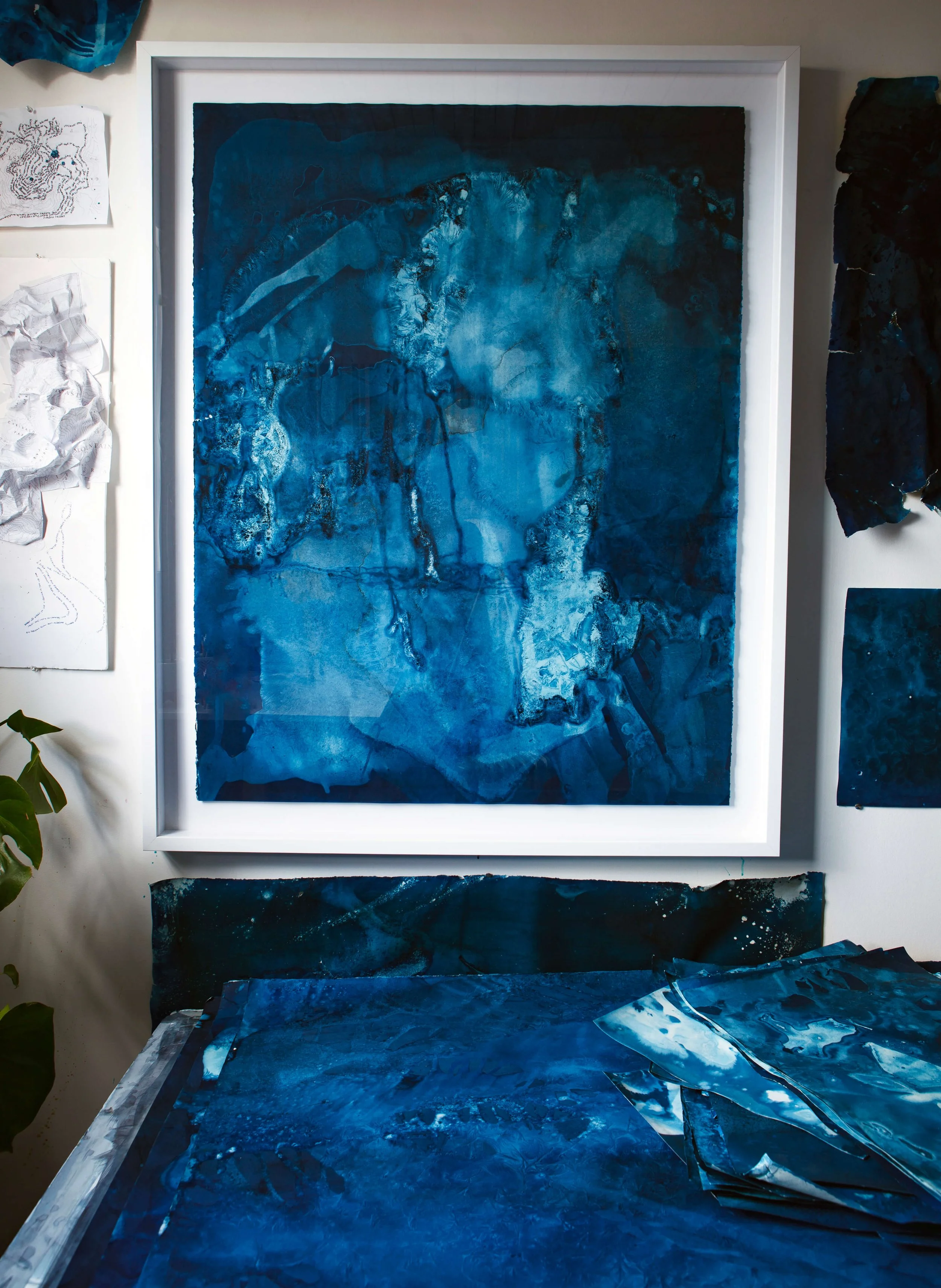 DesireePatterson_Cyanotype MOI ii (1).jpg