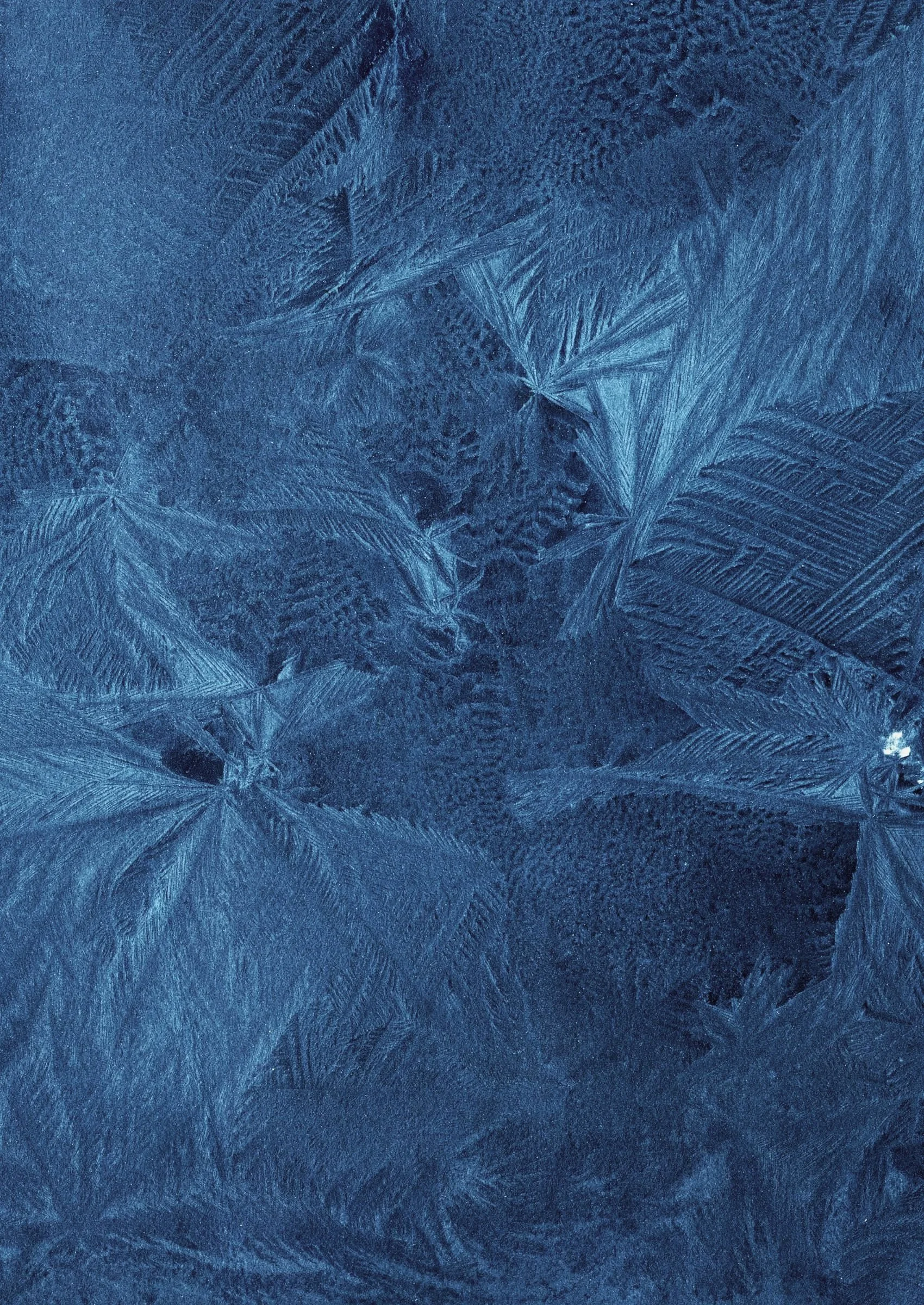 Desiree-Patterson-Memory-of-ICe_web.jpg