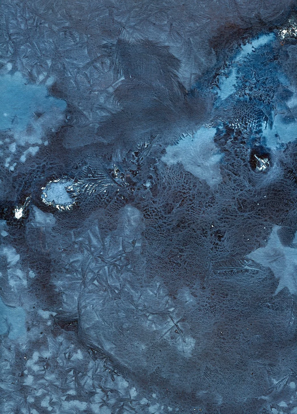 desiree patterson web memory of ice.jpg