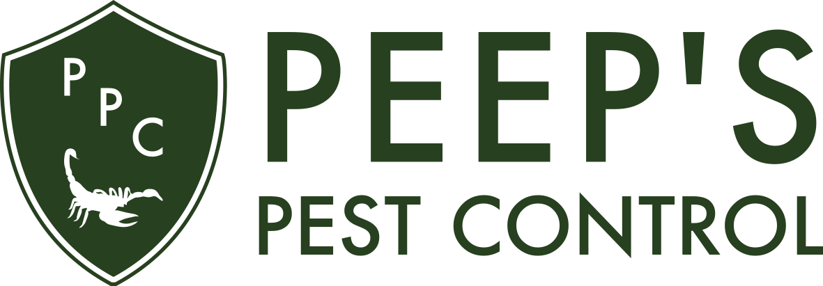 Best Pest Control In San Tan Valley | Peep&#39;s Pest Control