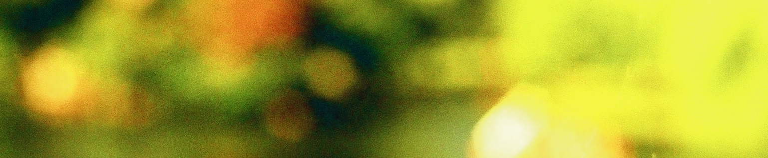 header.jpg