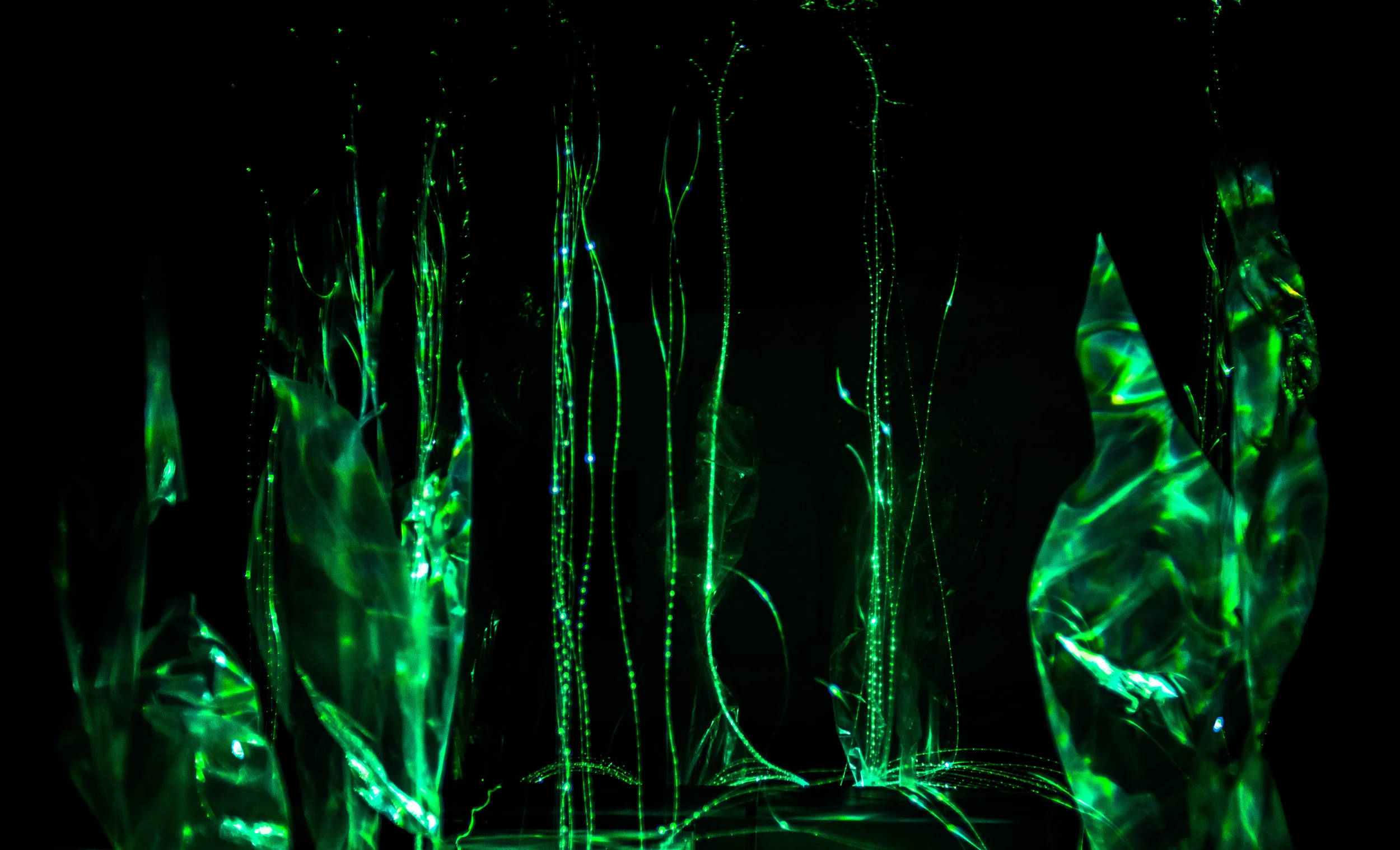 Fiber optic environment tests