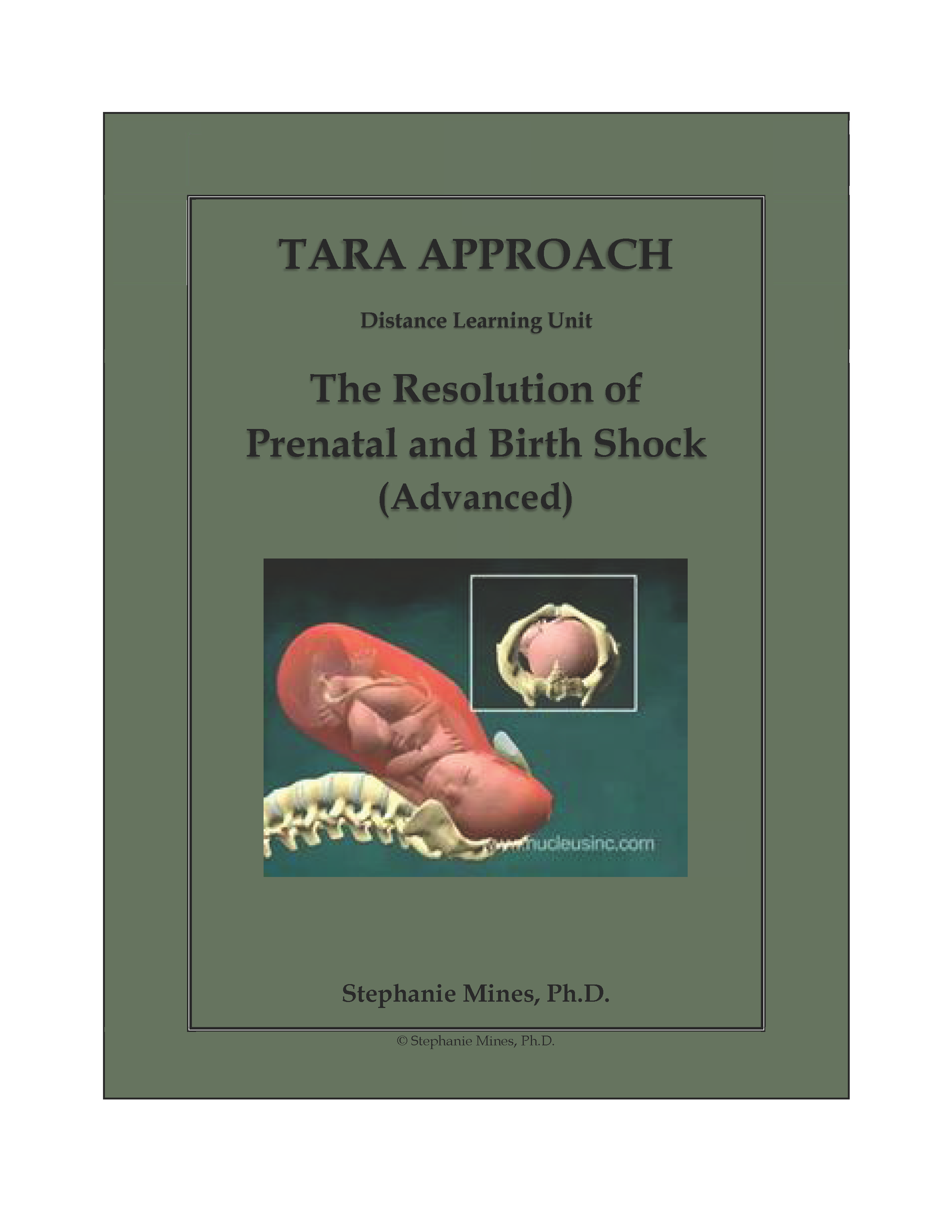 The Resolution of Prenatal and Birth Shock (Advanced)