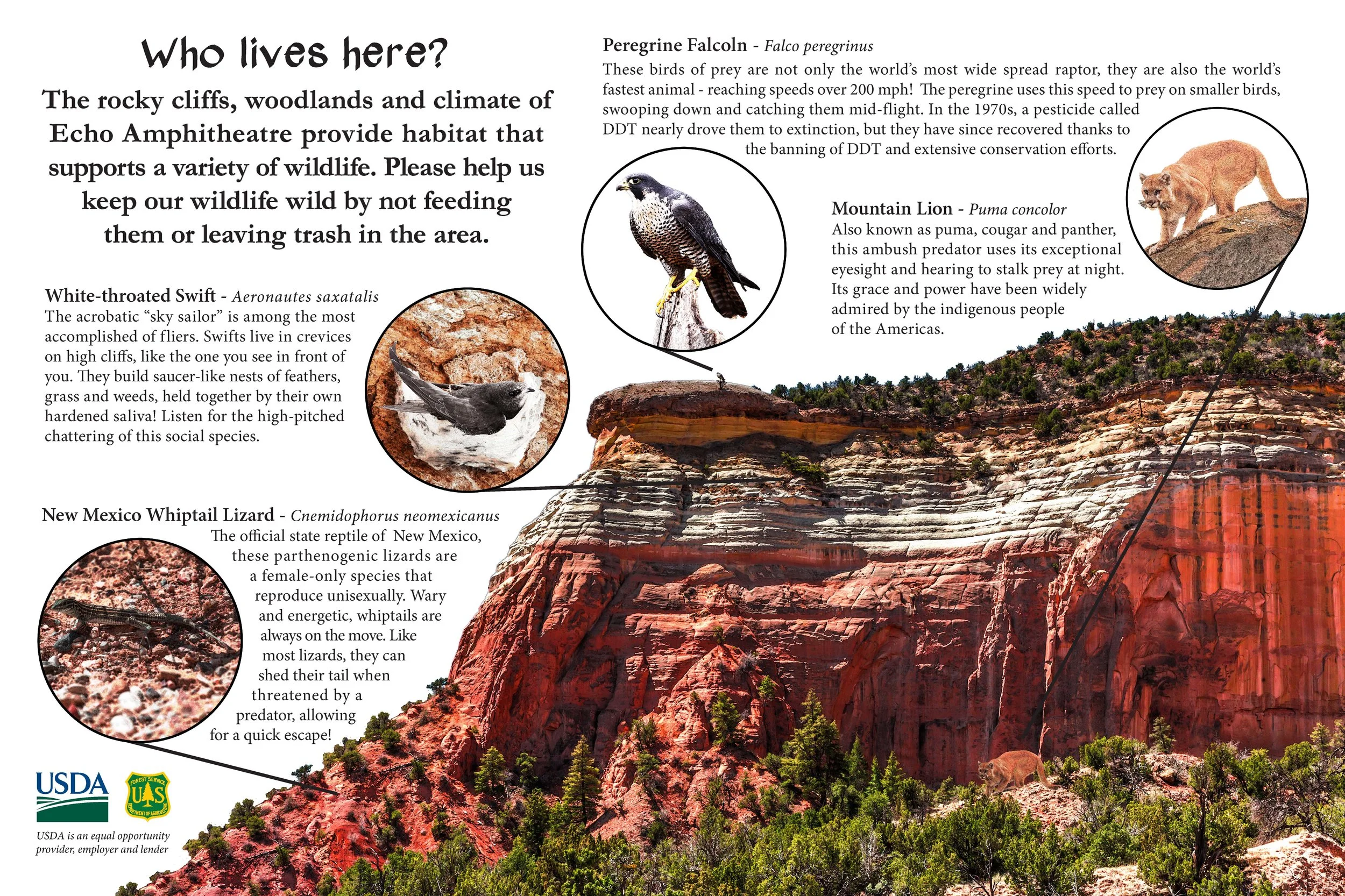 Wildlife.jpg