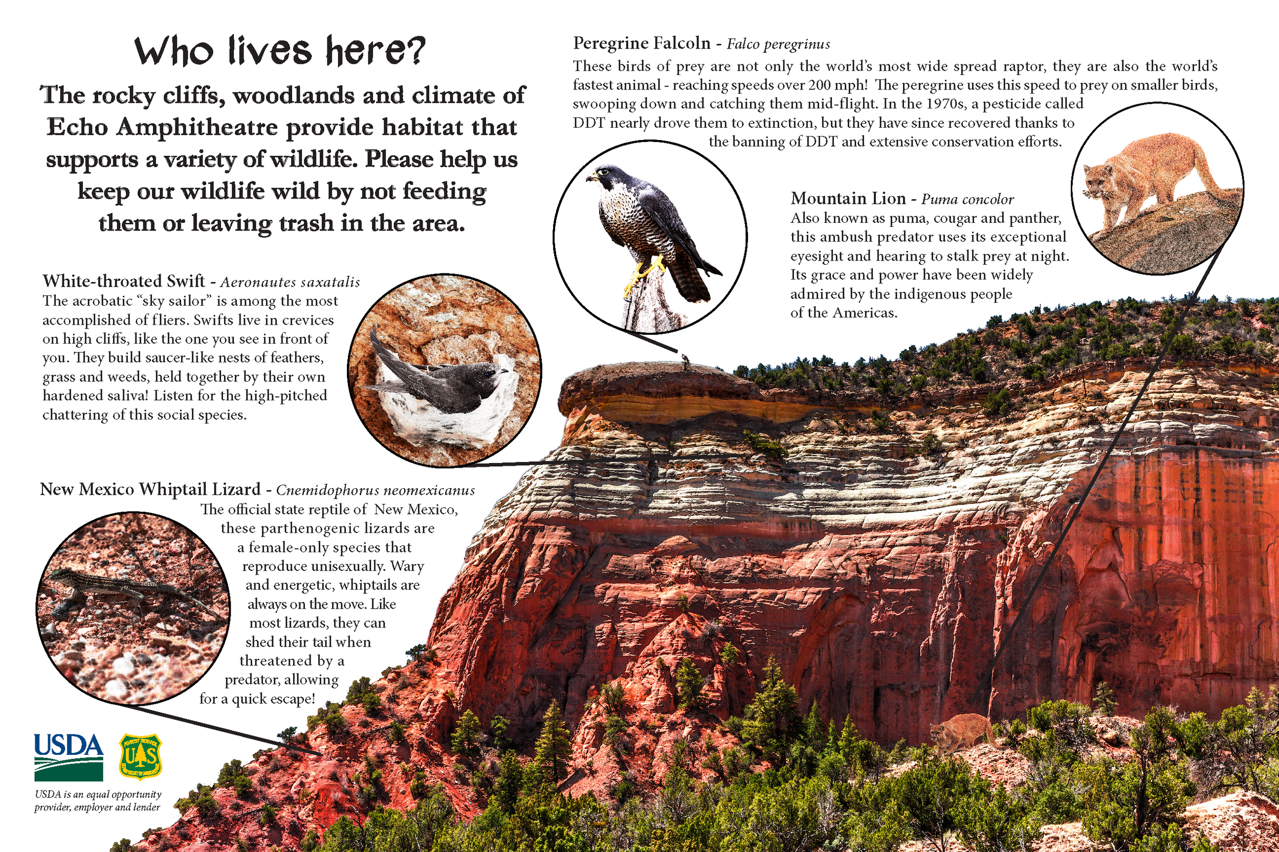 Wildlife.png