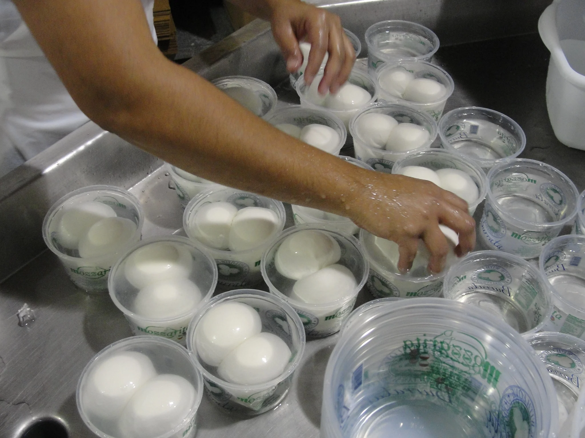 Fresh Mozzarella vs Lowmoisture Mozzarella — Fall In Love With Cheese