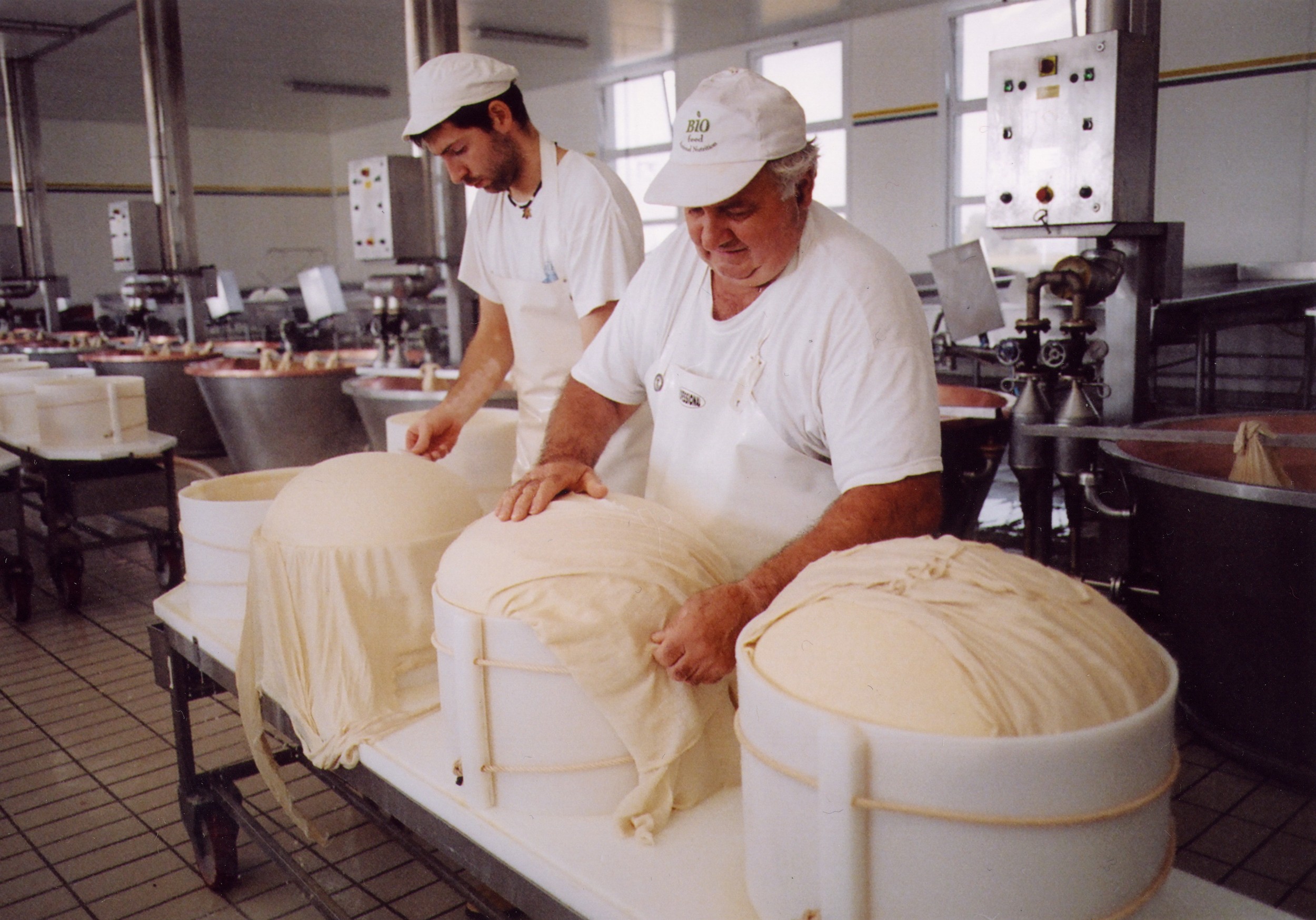 016 fascera 14_26A.jpg