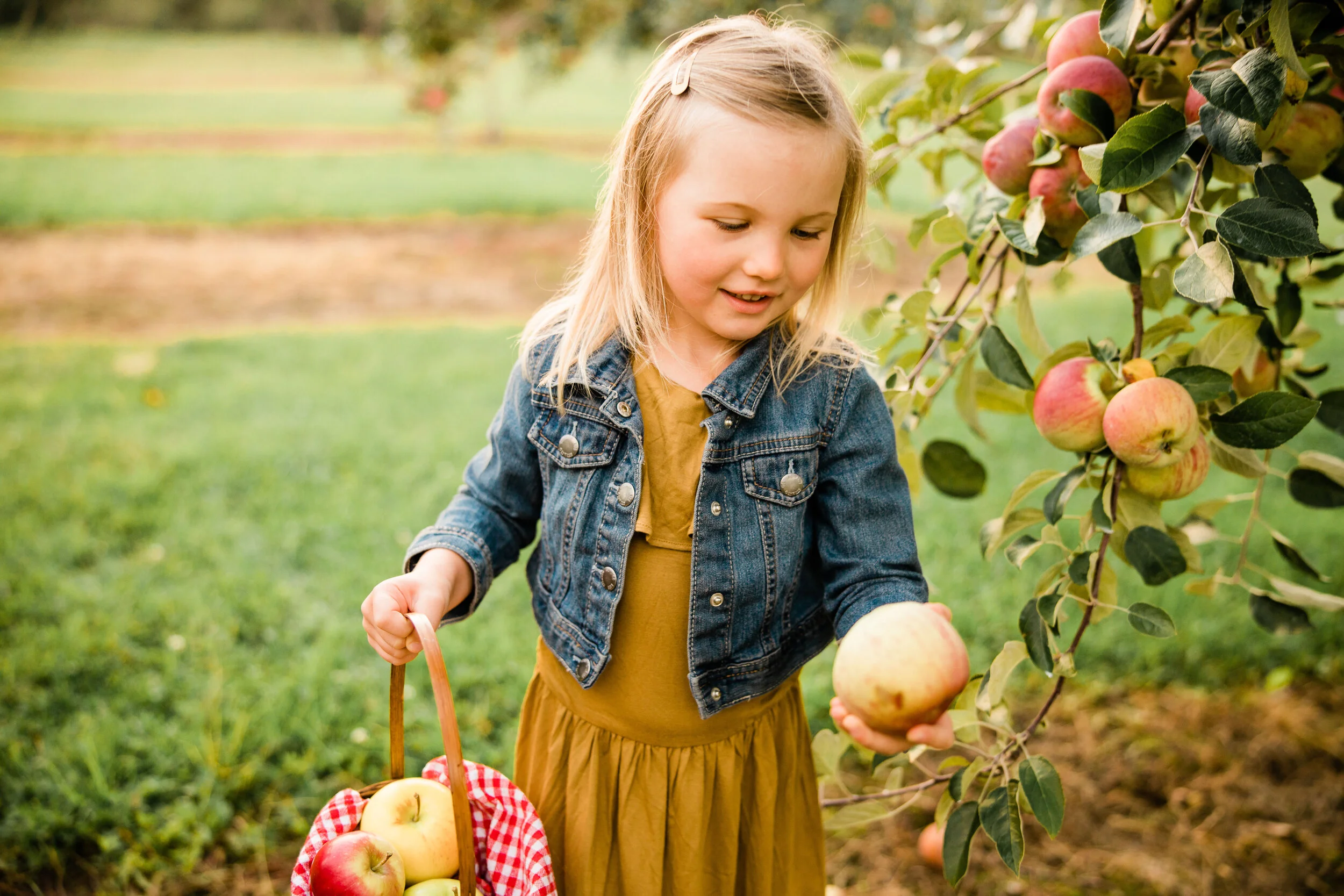 Jessa and Ryan's Family at Robertson Orchards-5.jpg