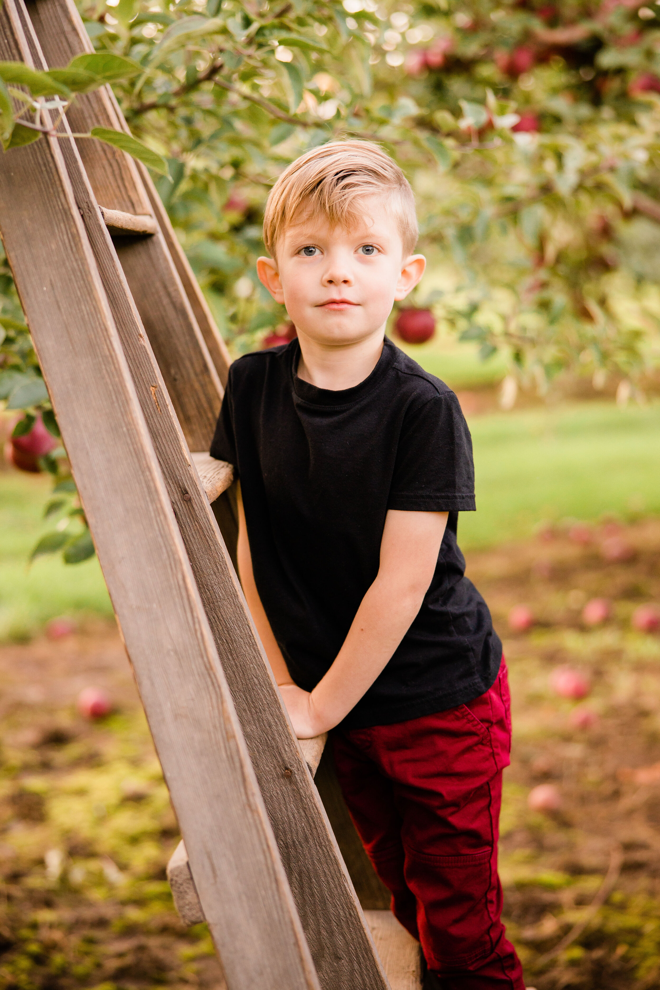 Fall Family Mini Session-32.jpg