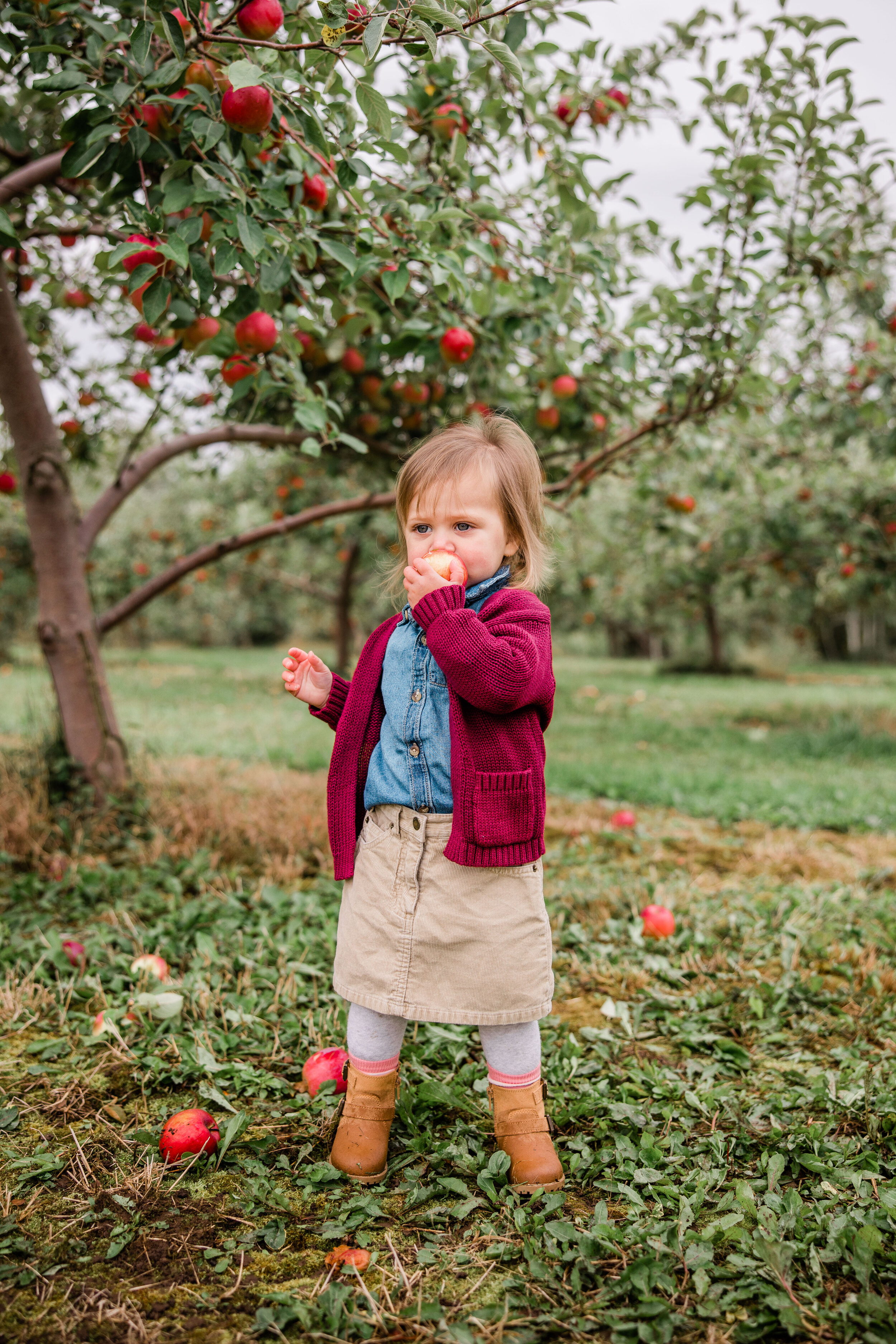 Mini Session at Robertson Orchards-12.jpg