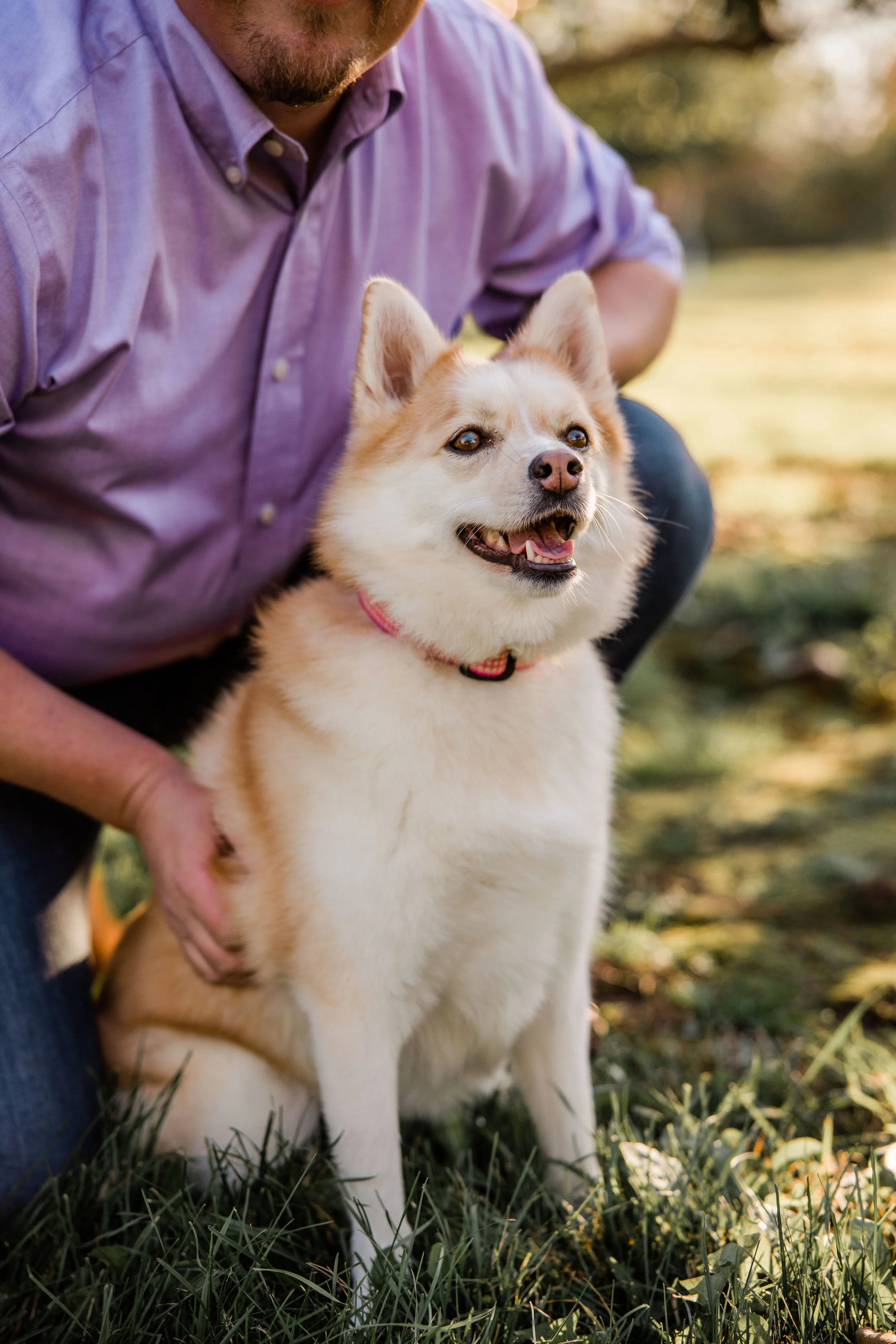 2020 Fall Mini Session-7.jpg