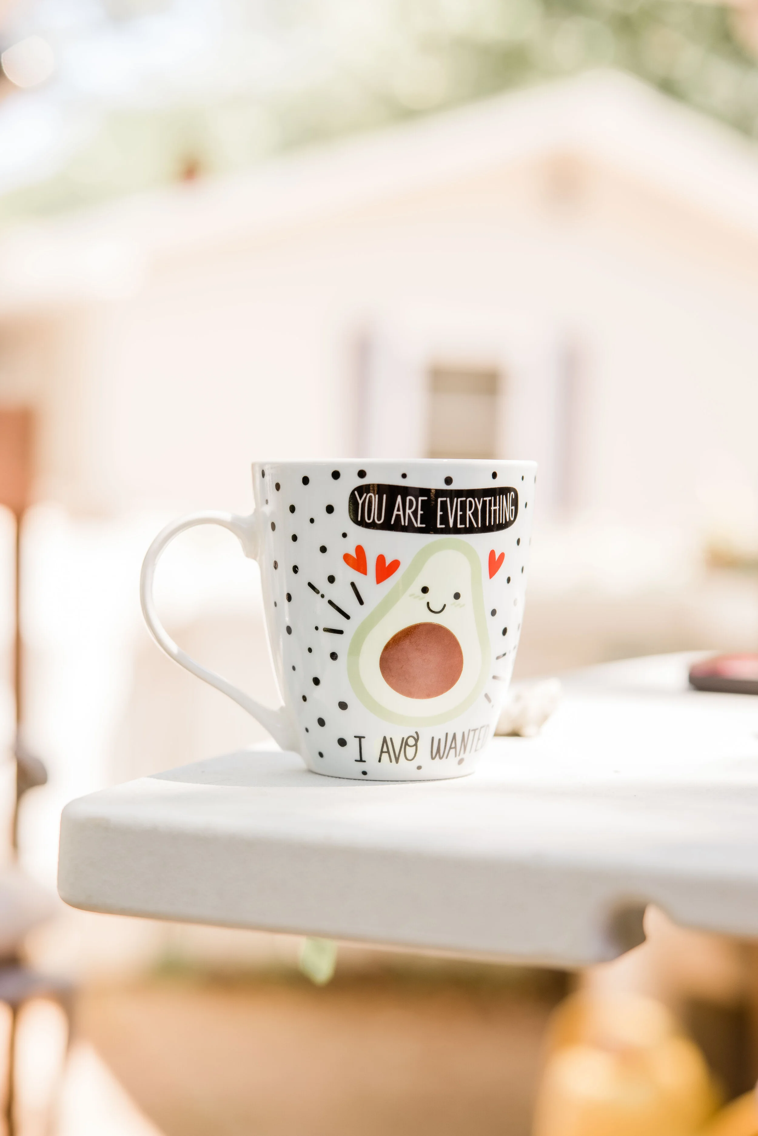 Lenz Family-19.jpg