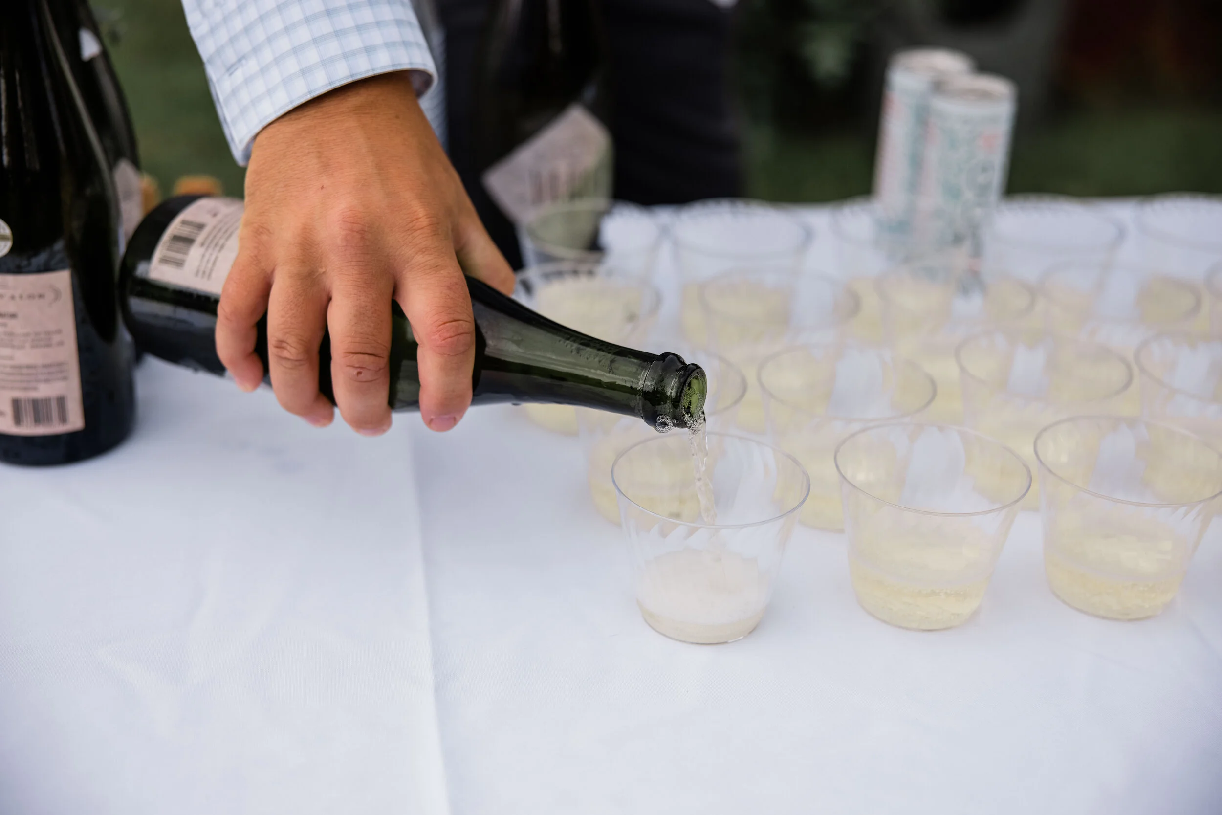 Diane and Adam Wedding-10.jpg
