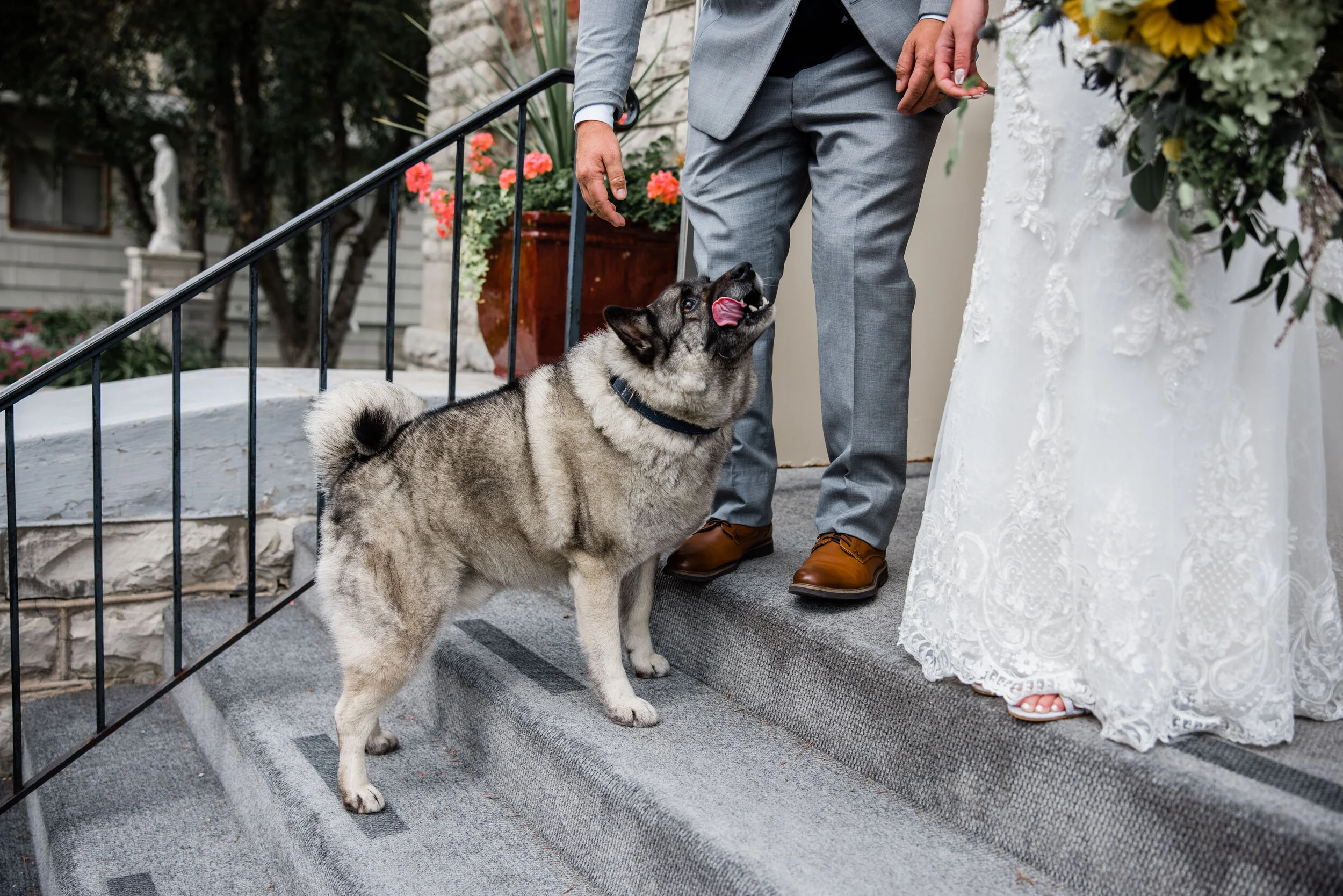 Alyssa and Cole Wedding-54.jpg