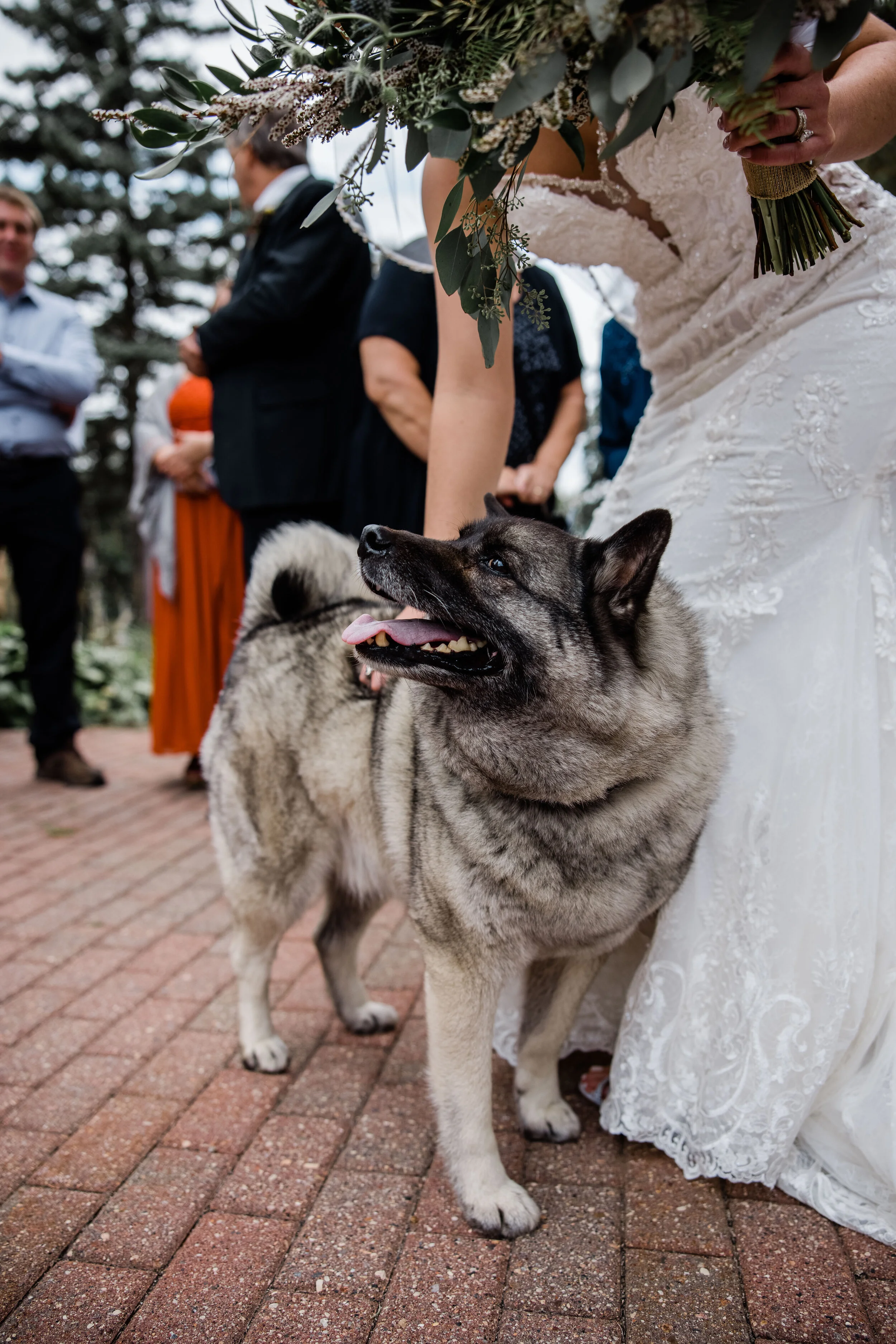 Alyssa and Cole Wedding-56.jpg