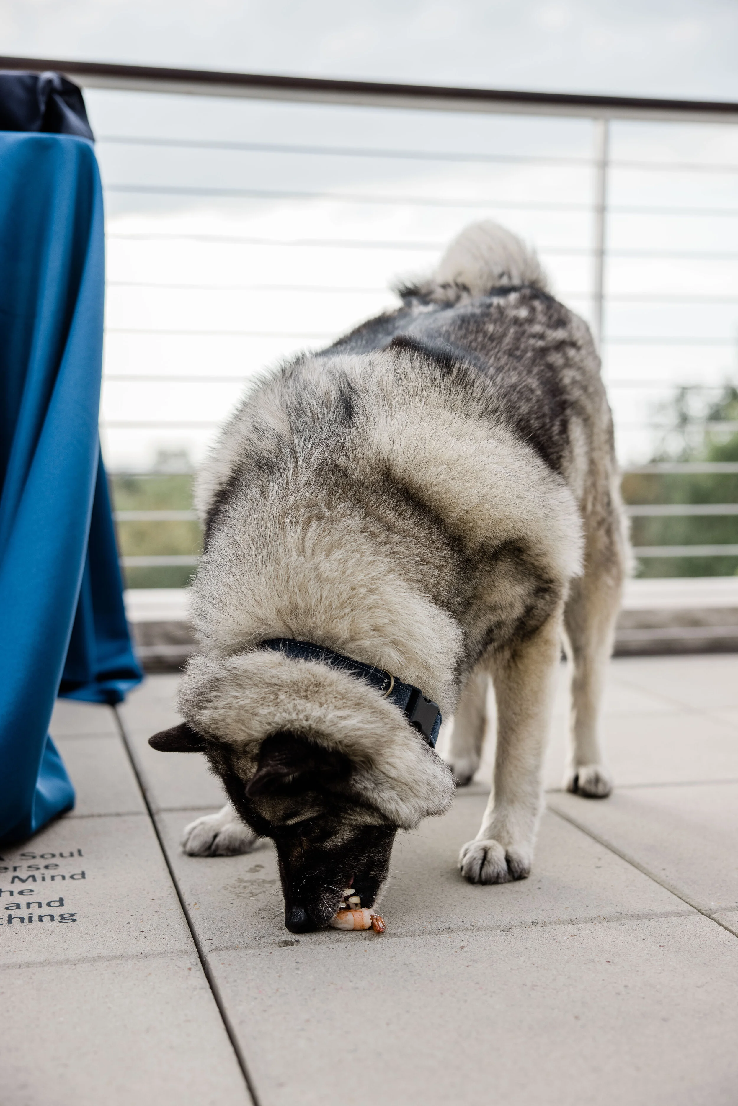 Alyssa and Cole Wedding-103.jpg