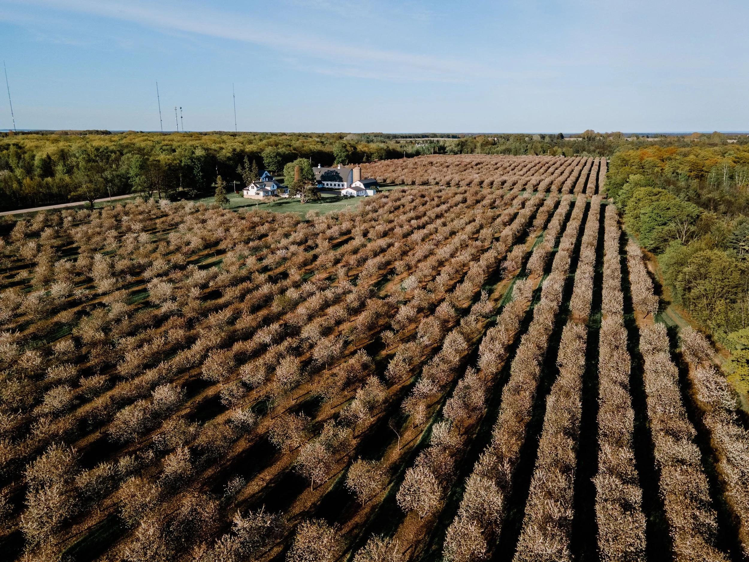 Seaquist Orchard Details-1.jpg