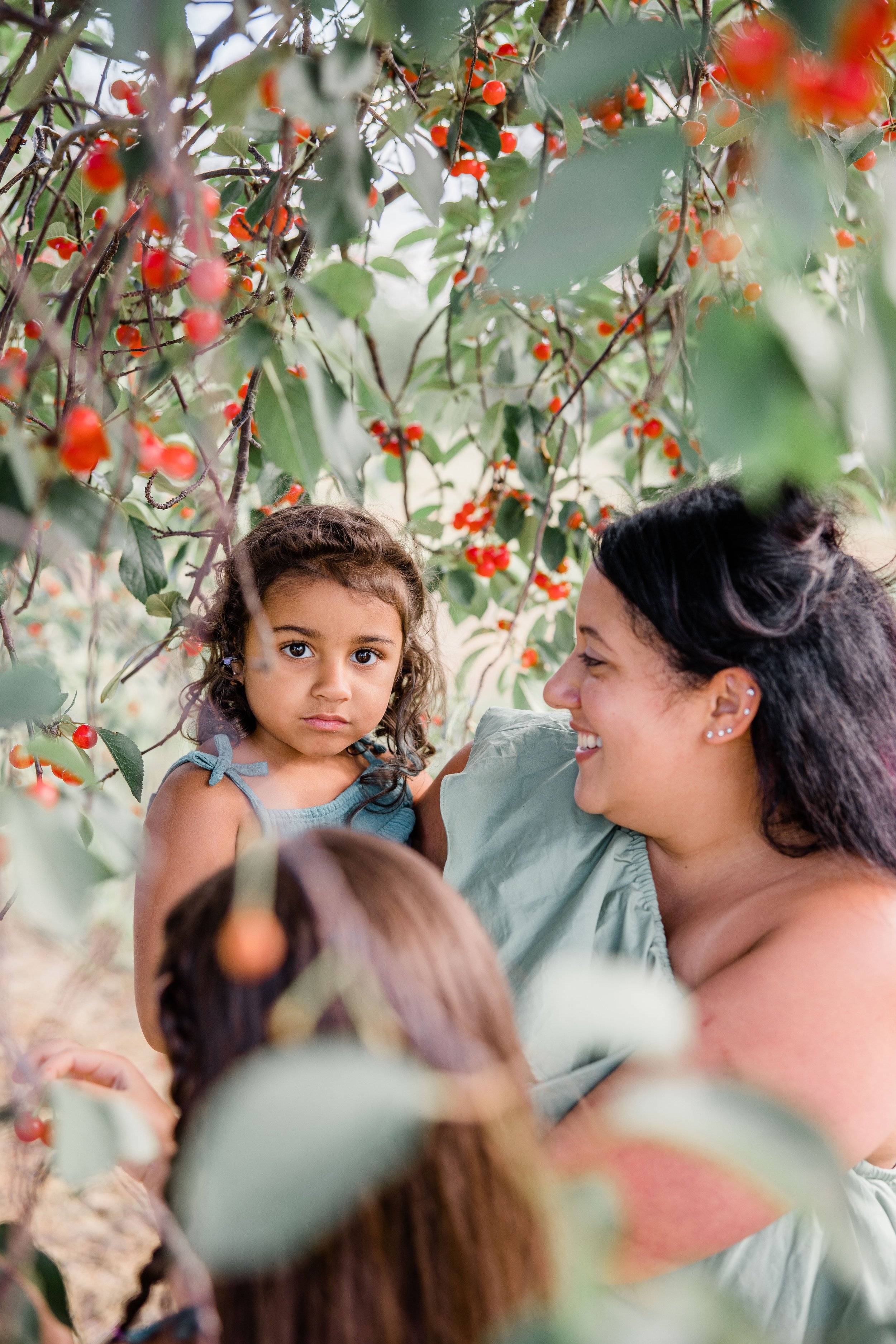 Cherry Picking 2022-1.jpg