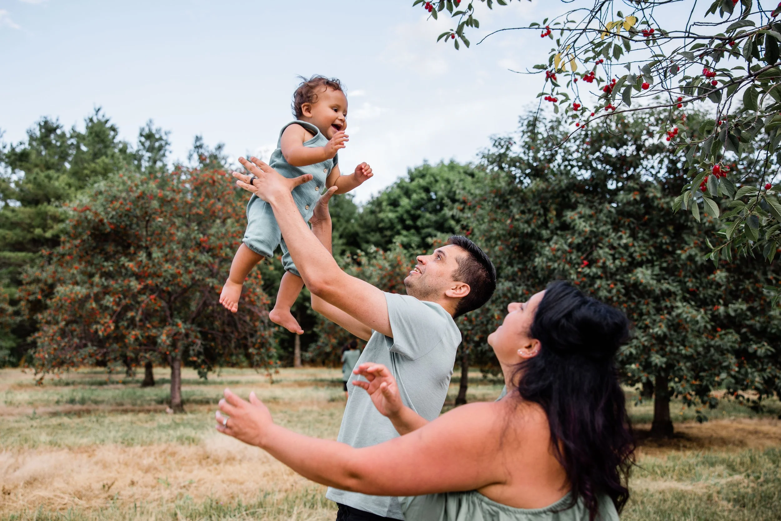 Cherry Picking 2022-11.jpg