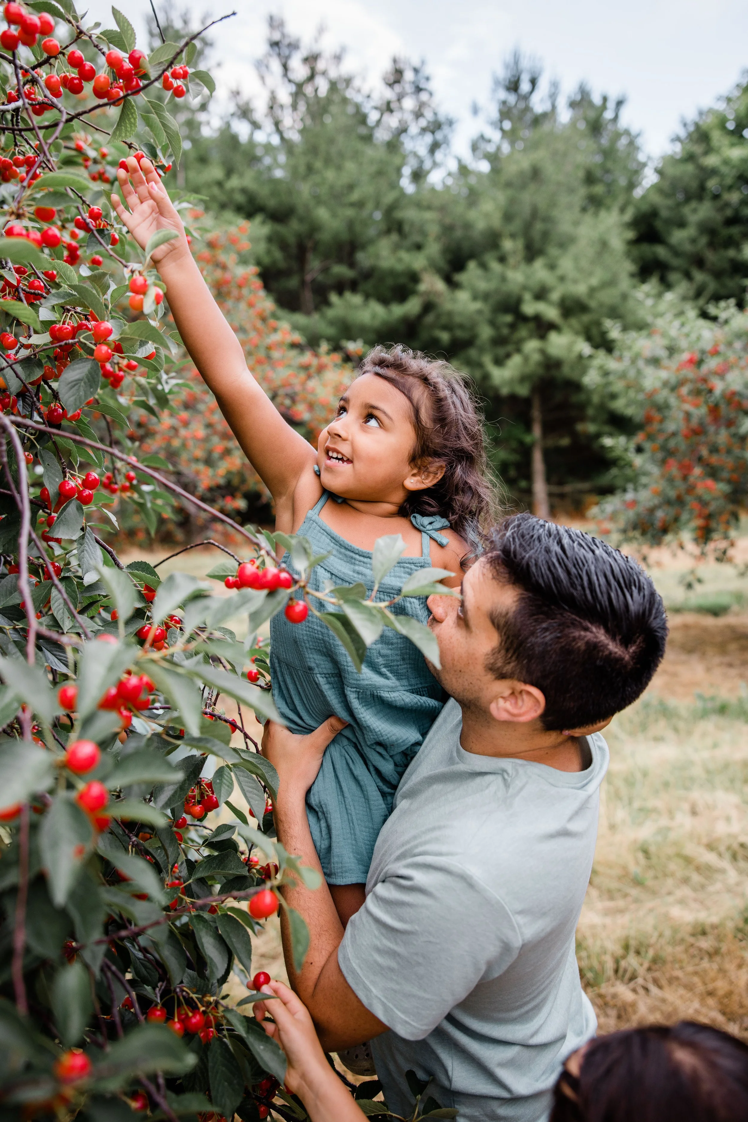 Cherry Picking 2022-15.jpg