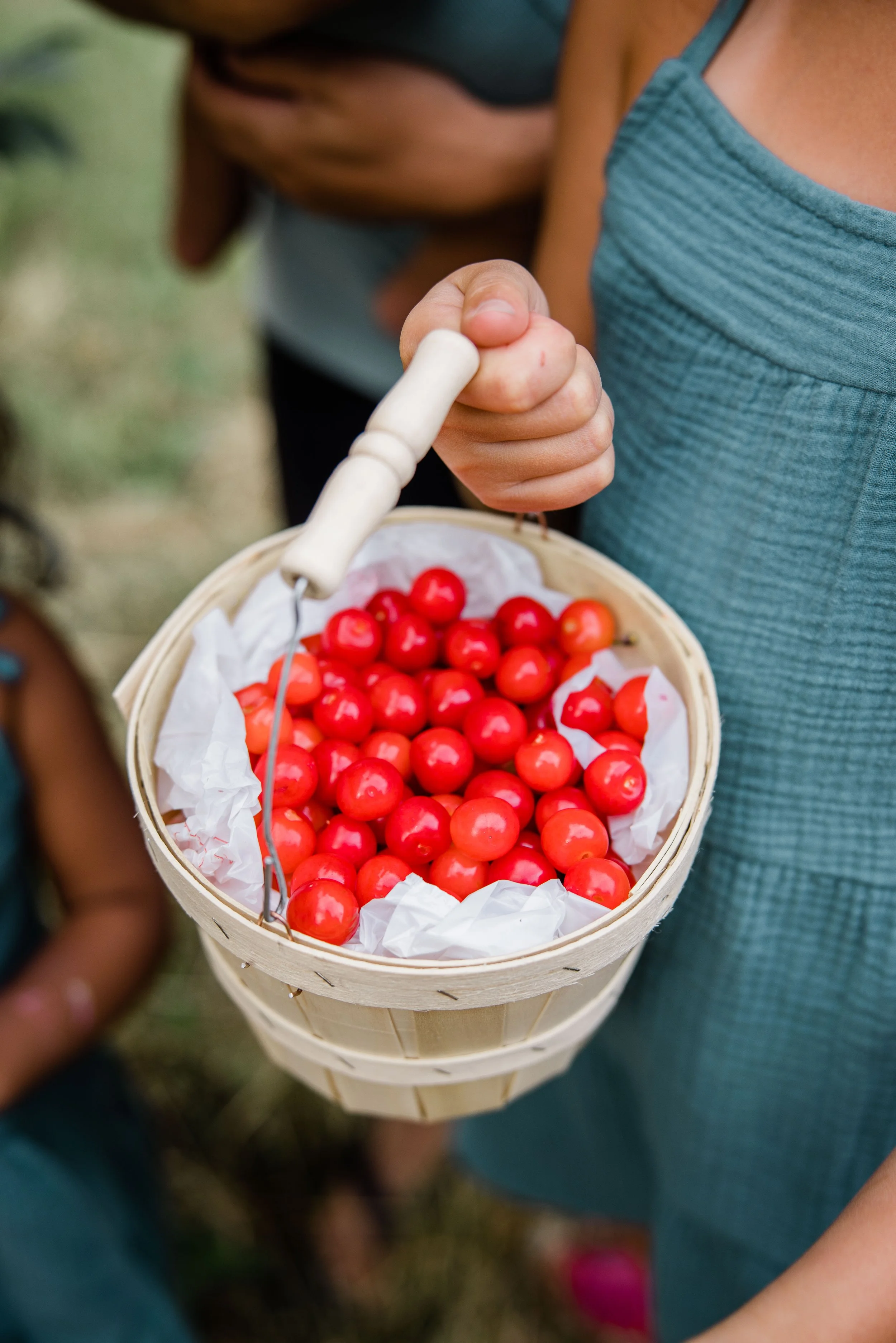 Cherry Picking 2022-16.jpg