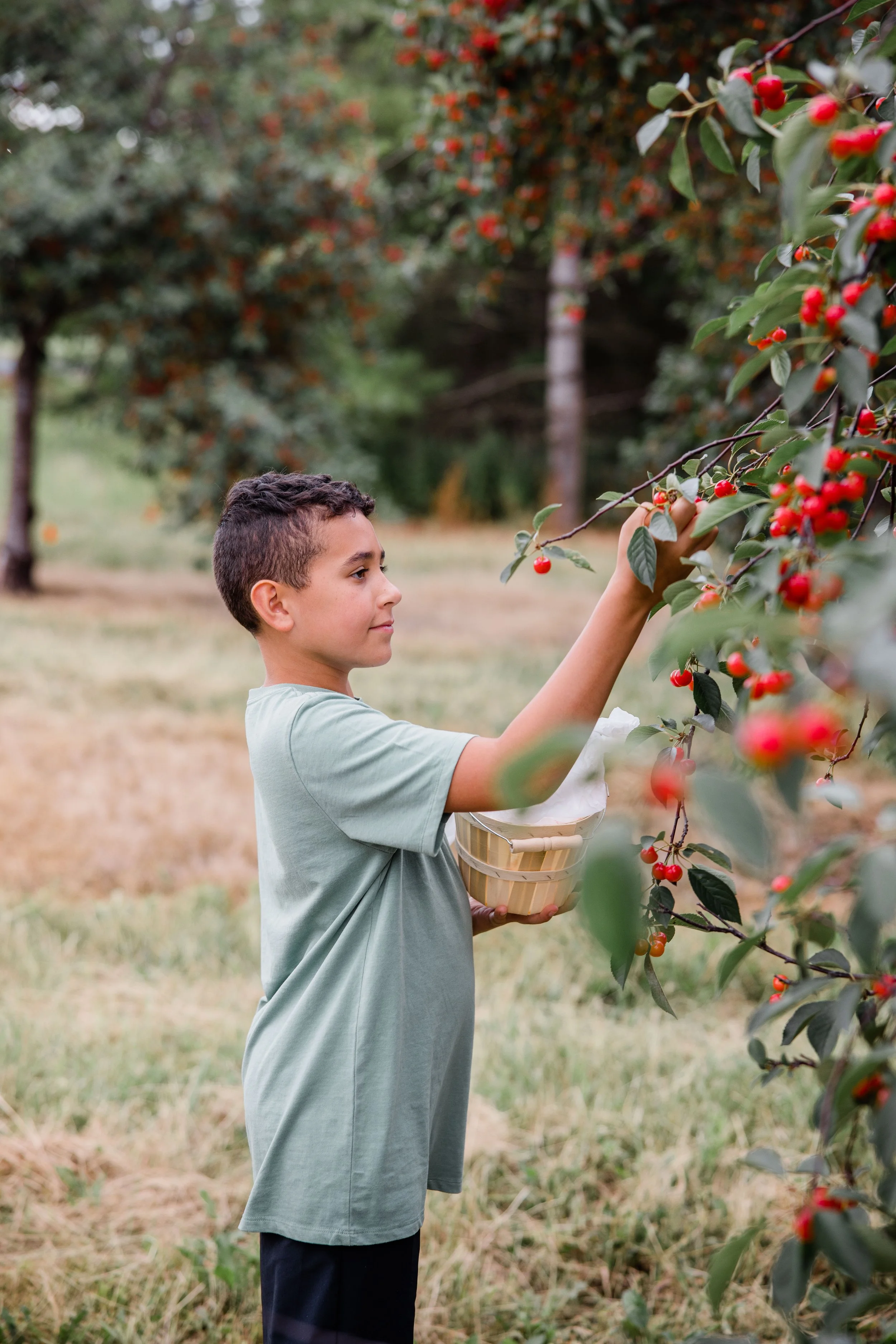 Cherry Picking 2022-17.jpg