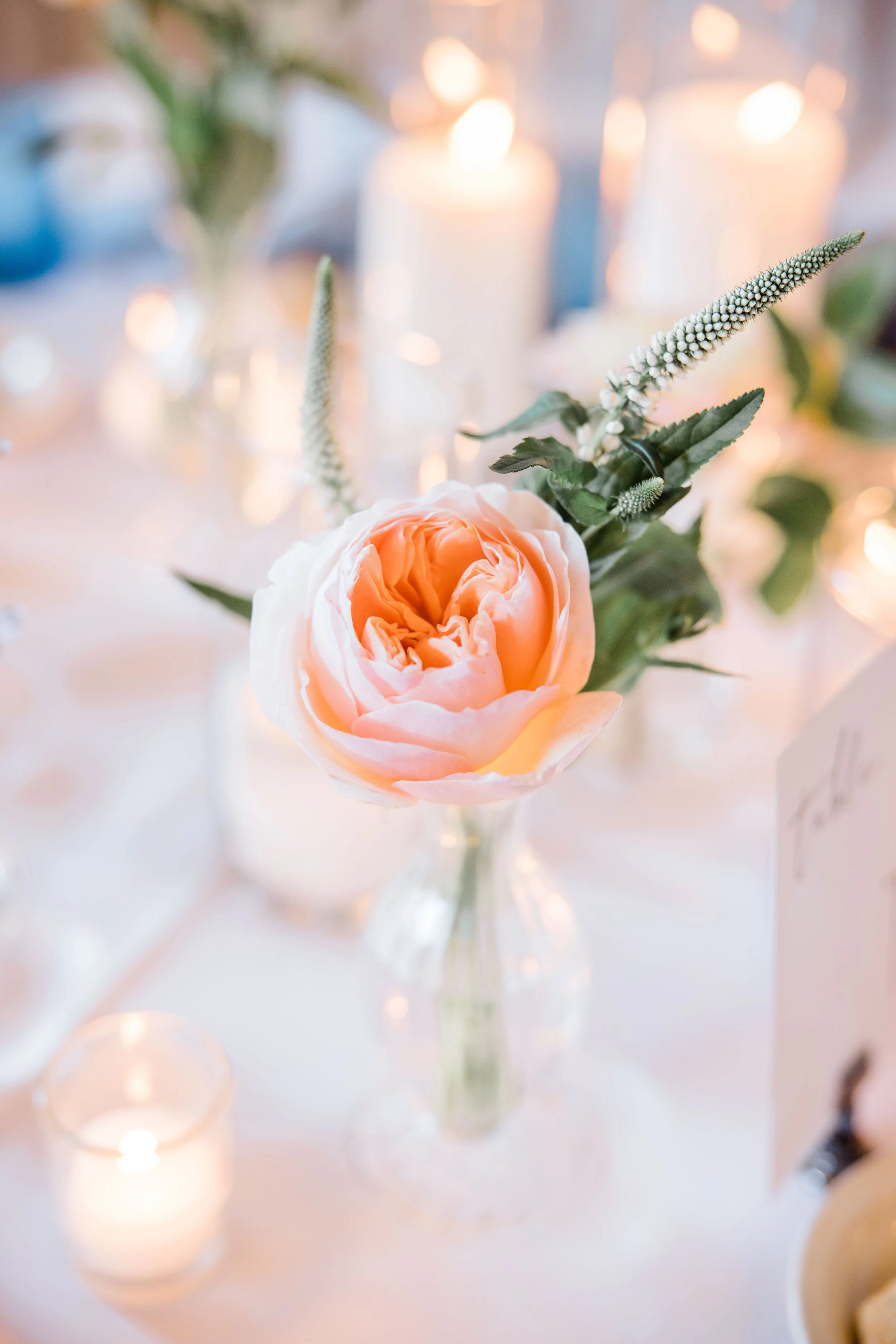 Maureen and Michael-108.jpg