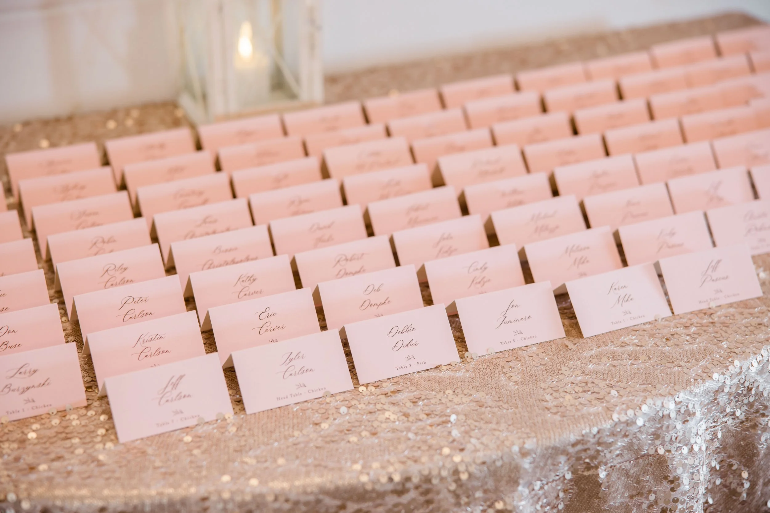 Robin and Tyler-25.jpg