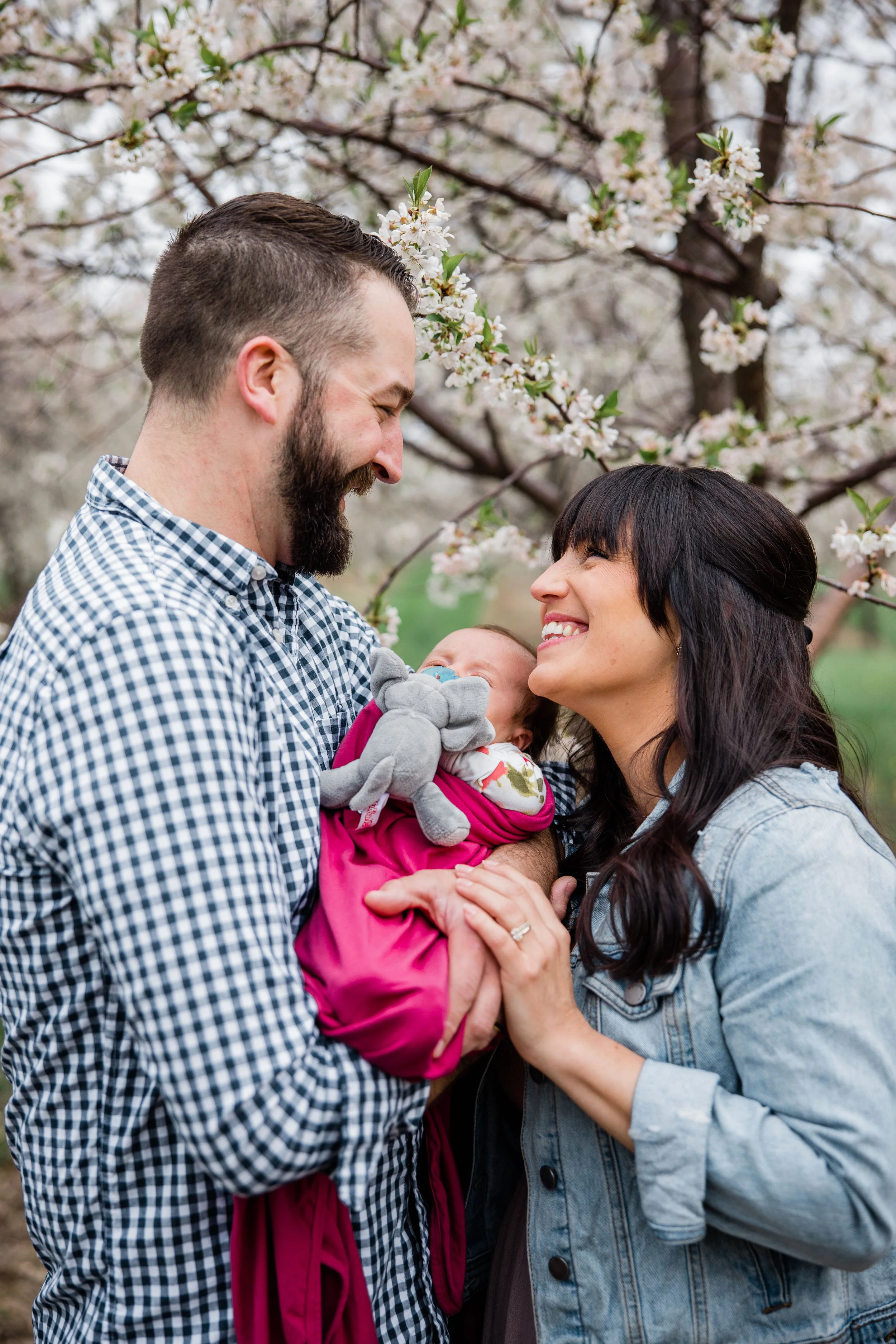 Cherry Blossoms Family Photography-14.jpg