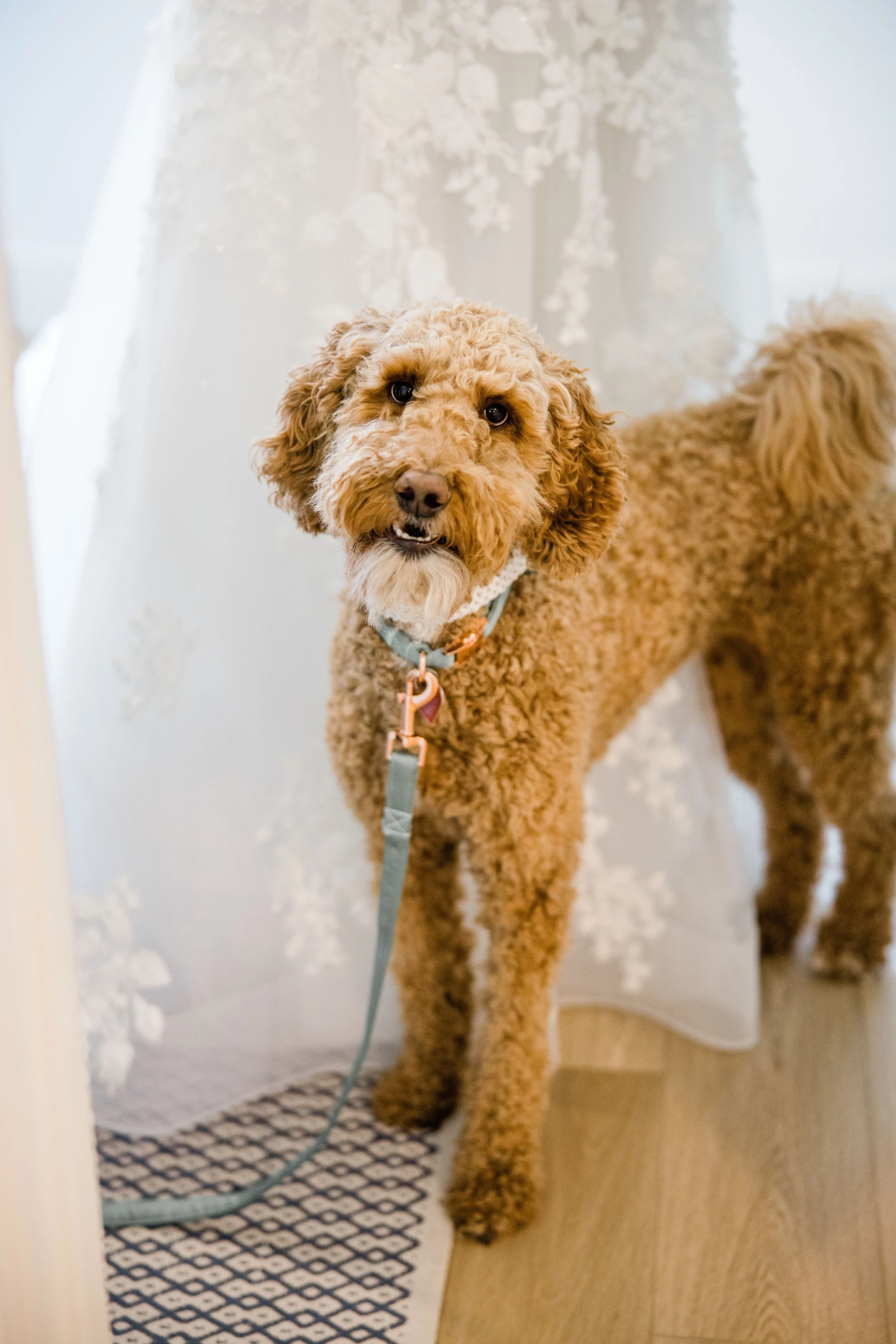 Jenn and Justin Wedding-18.jpg