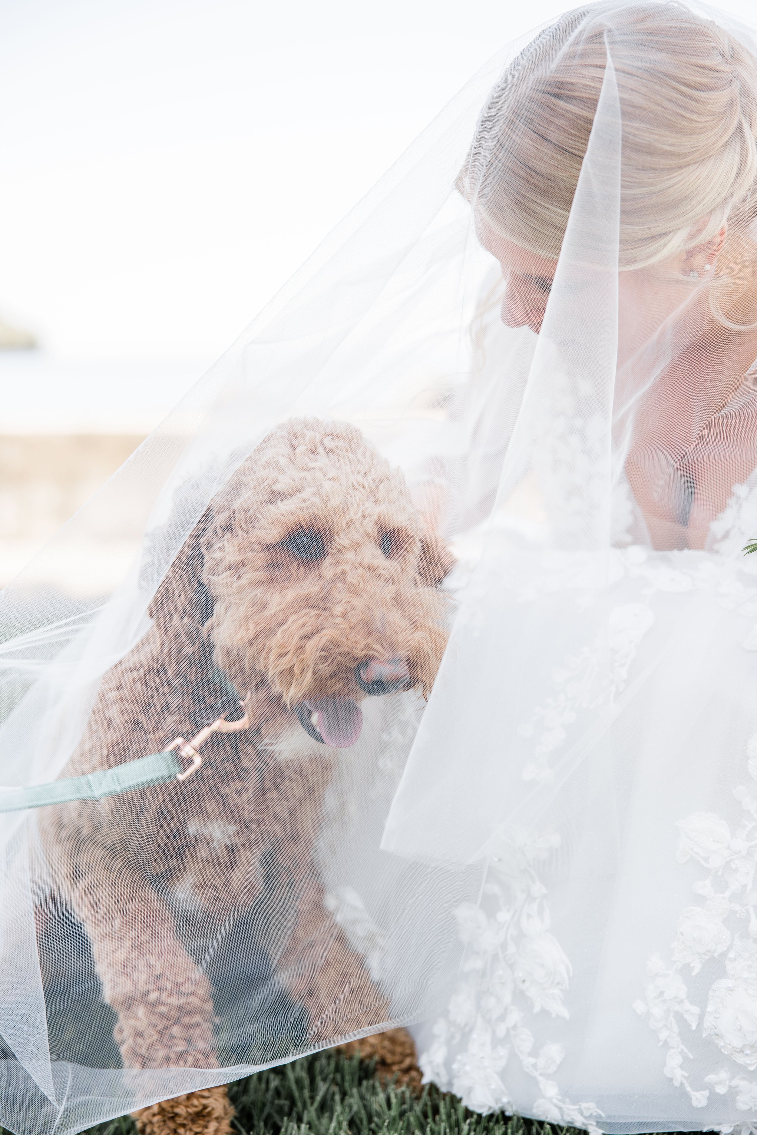 Jenn and Justin Wedding-51.jpg