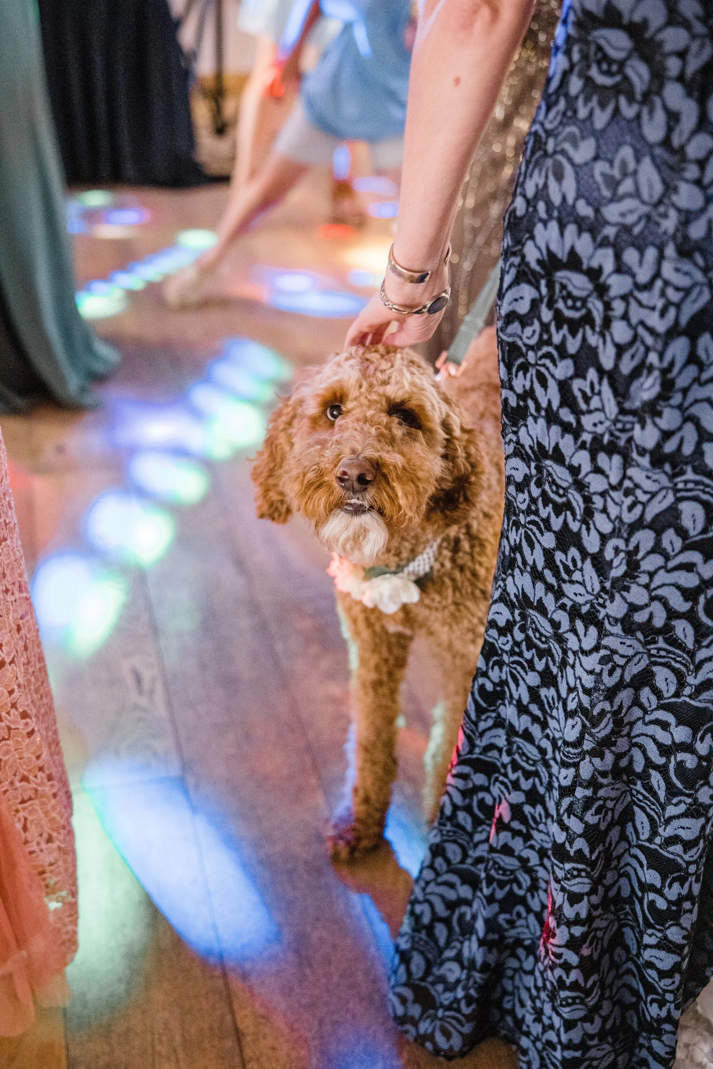 Jenn and Justin Wedding-239.jpg