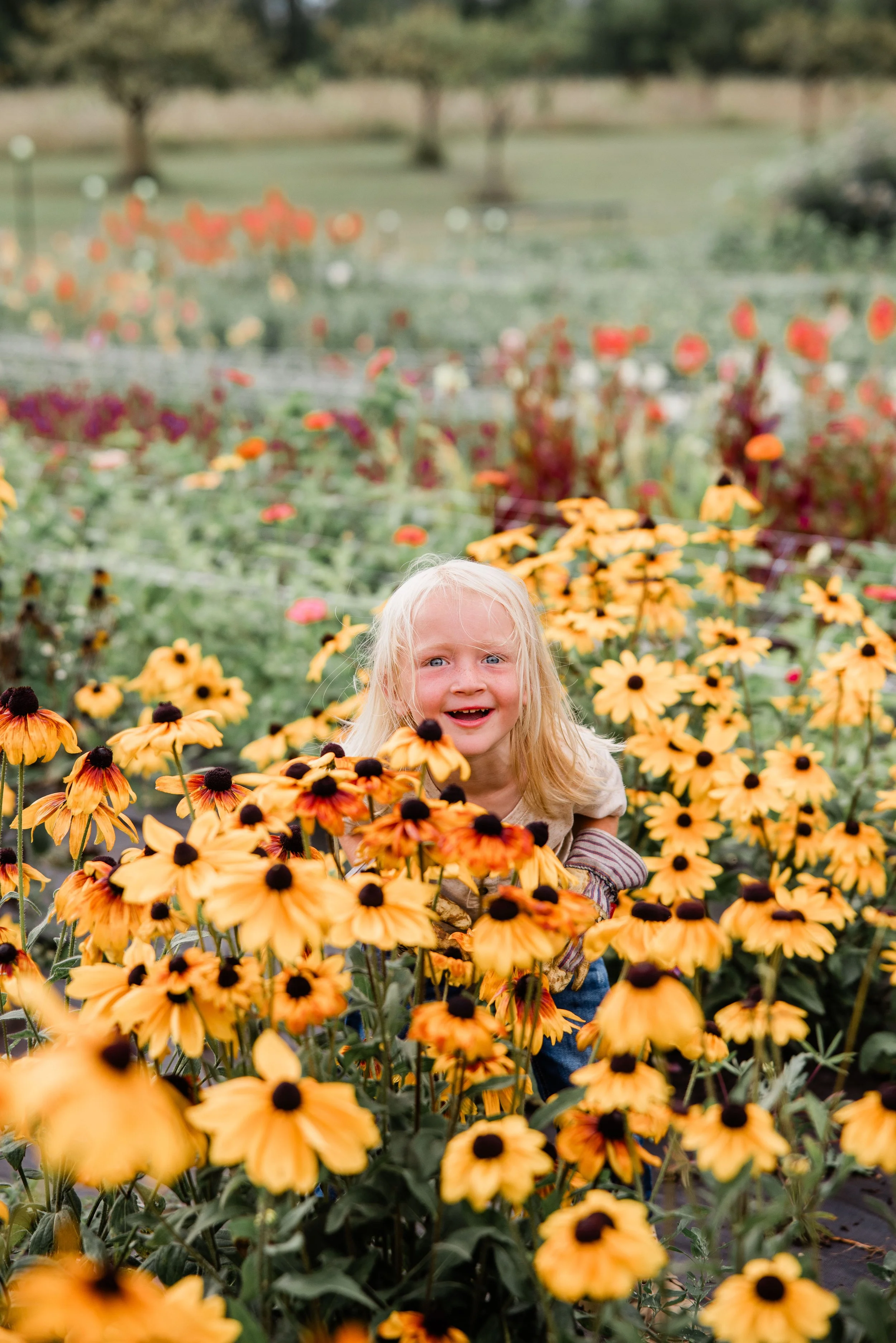 OneEighty Petals Family 2023-14.jpg