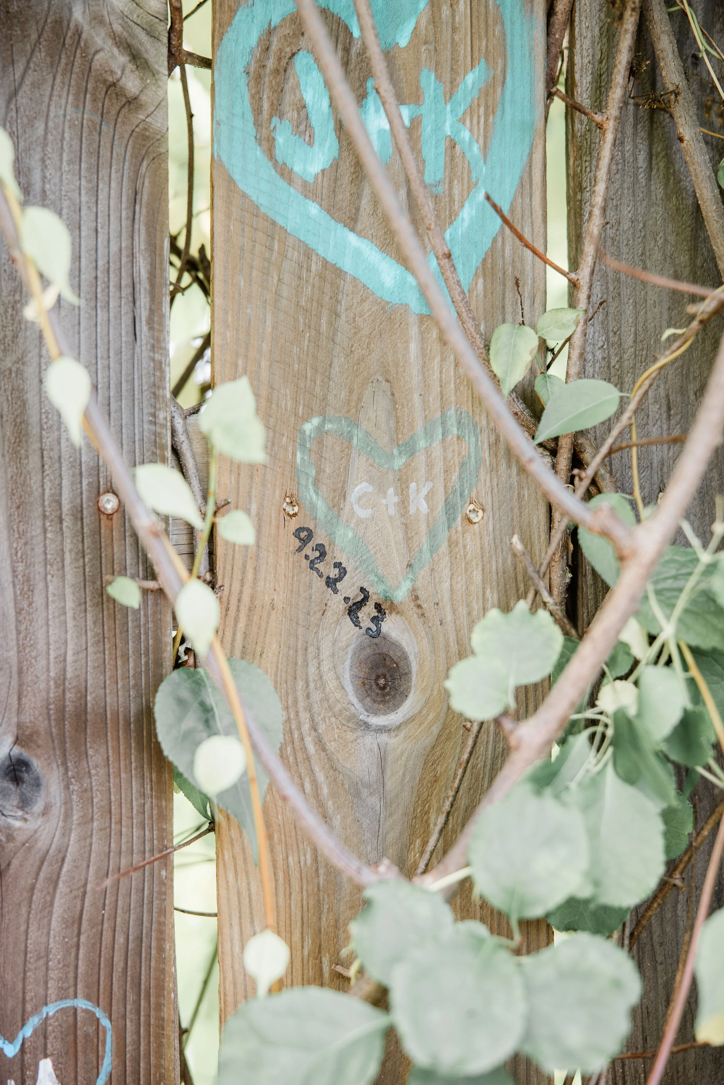Cassandra and Kyle Wedding-99.jpg