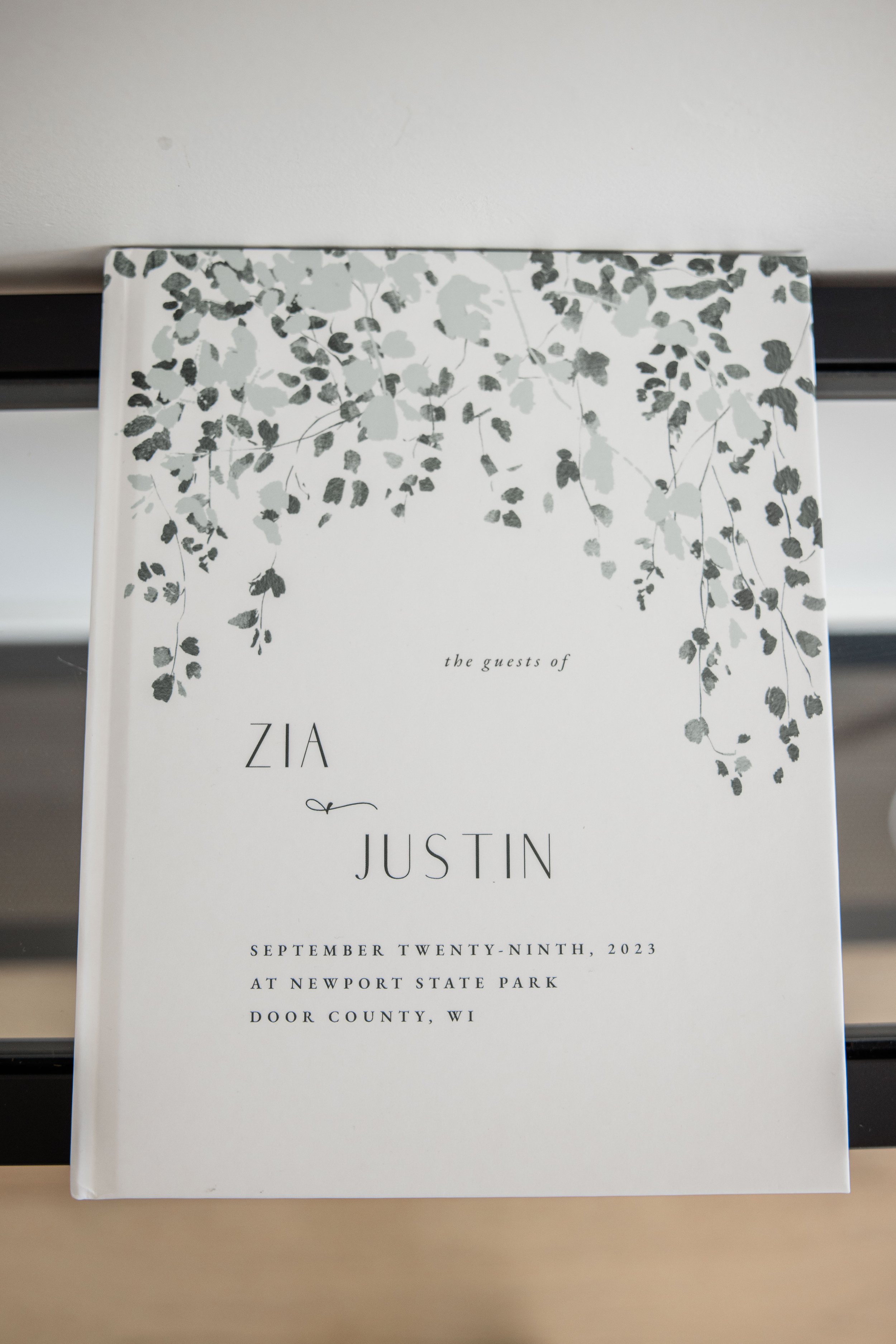 Justin and Zia-65.jpg