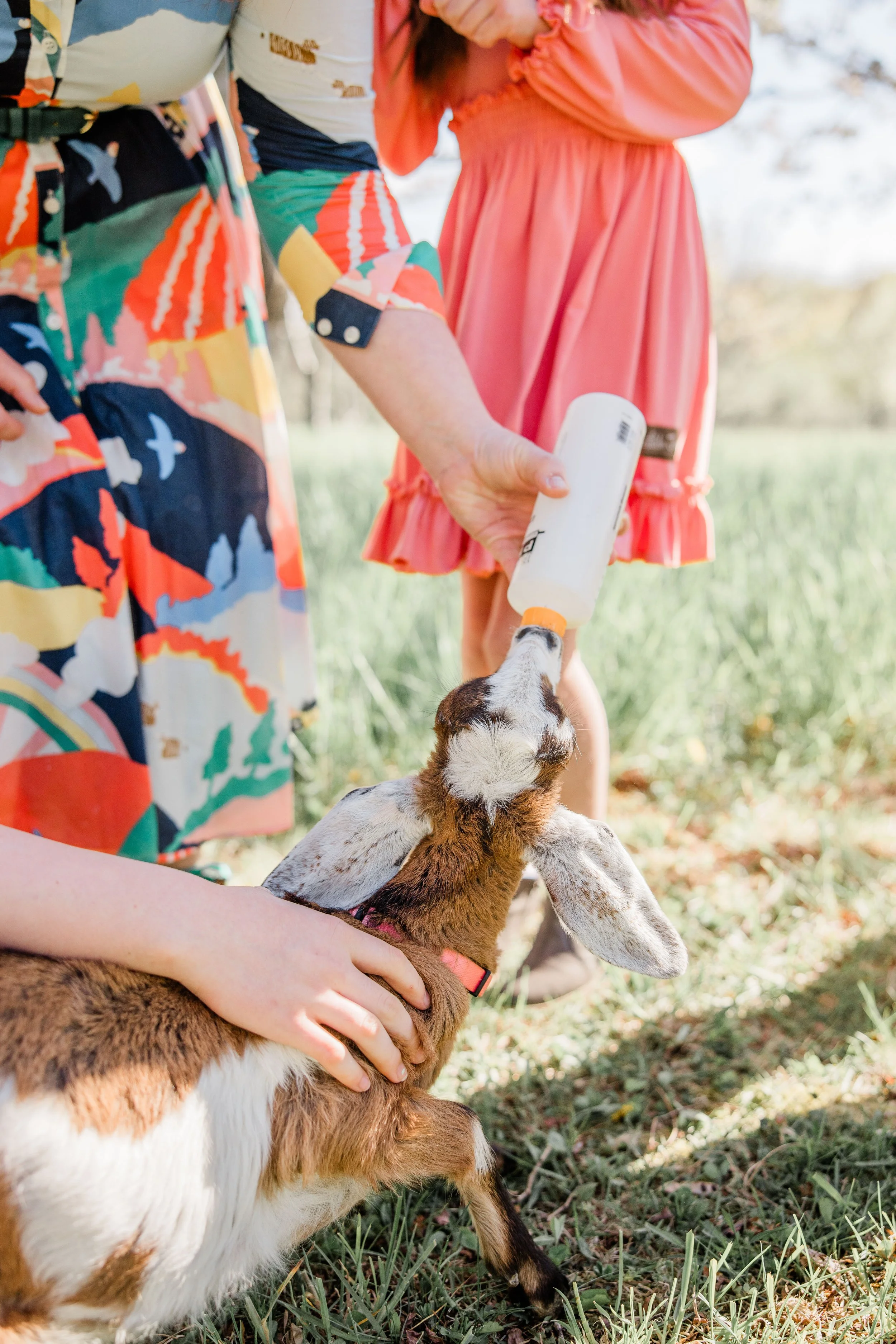 Goats and Blooms Mini Sessions-11.jpg