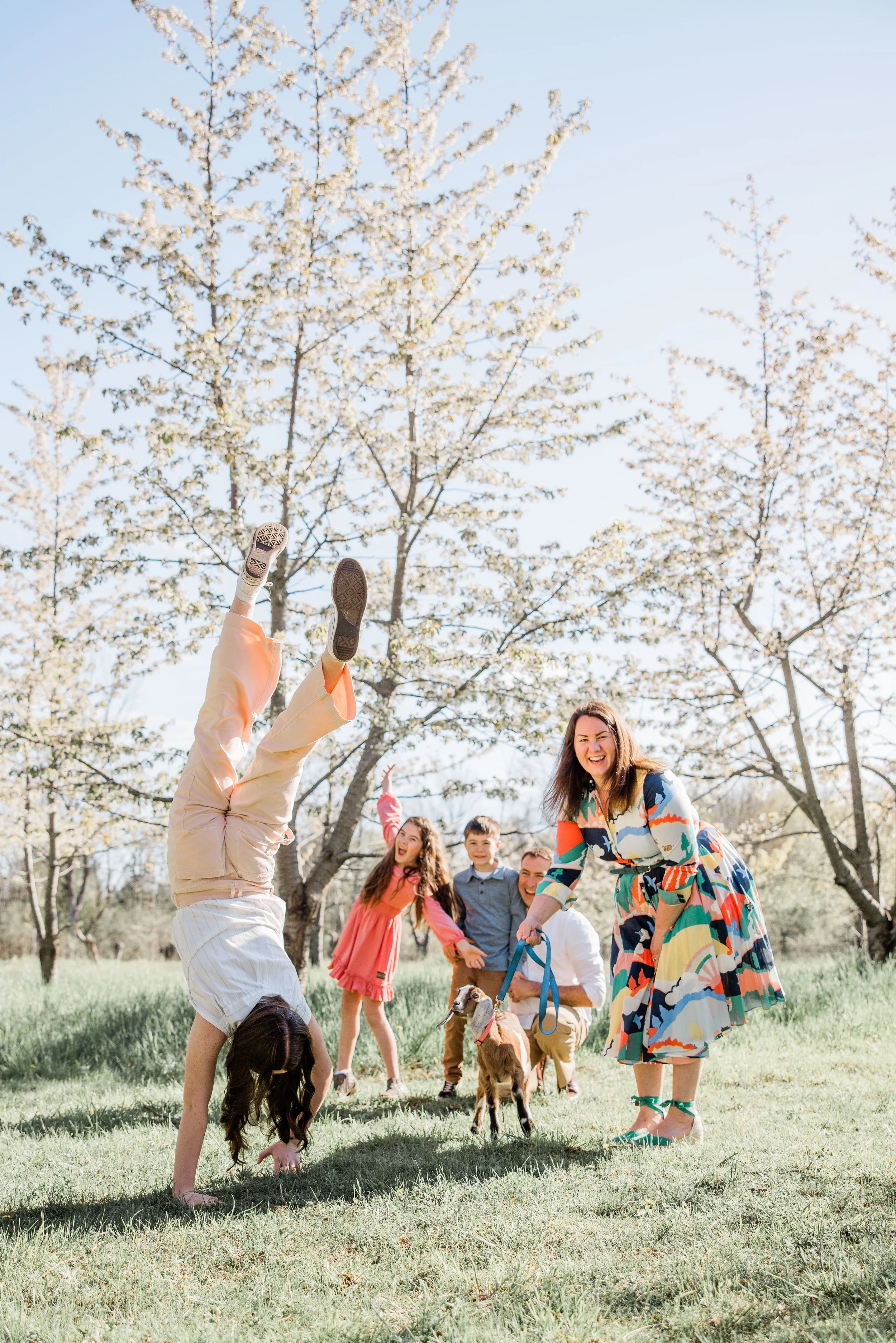 Goats and Blooms Mini Sessions-14.jpg