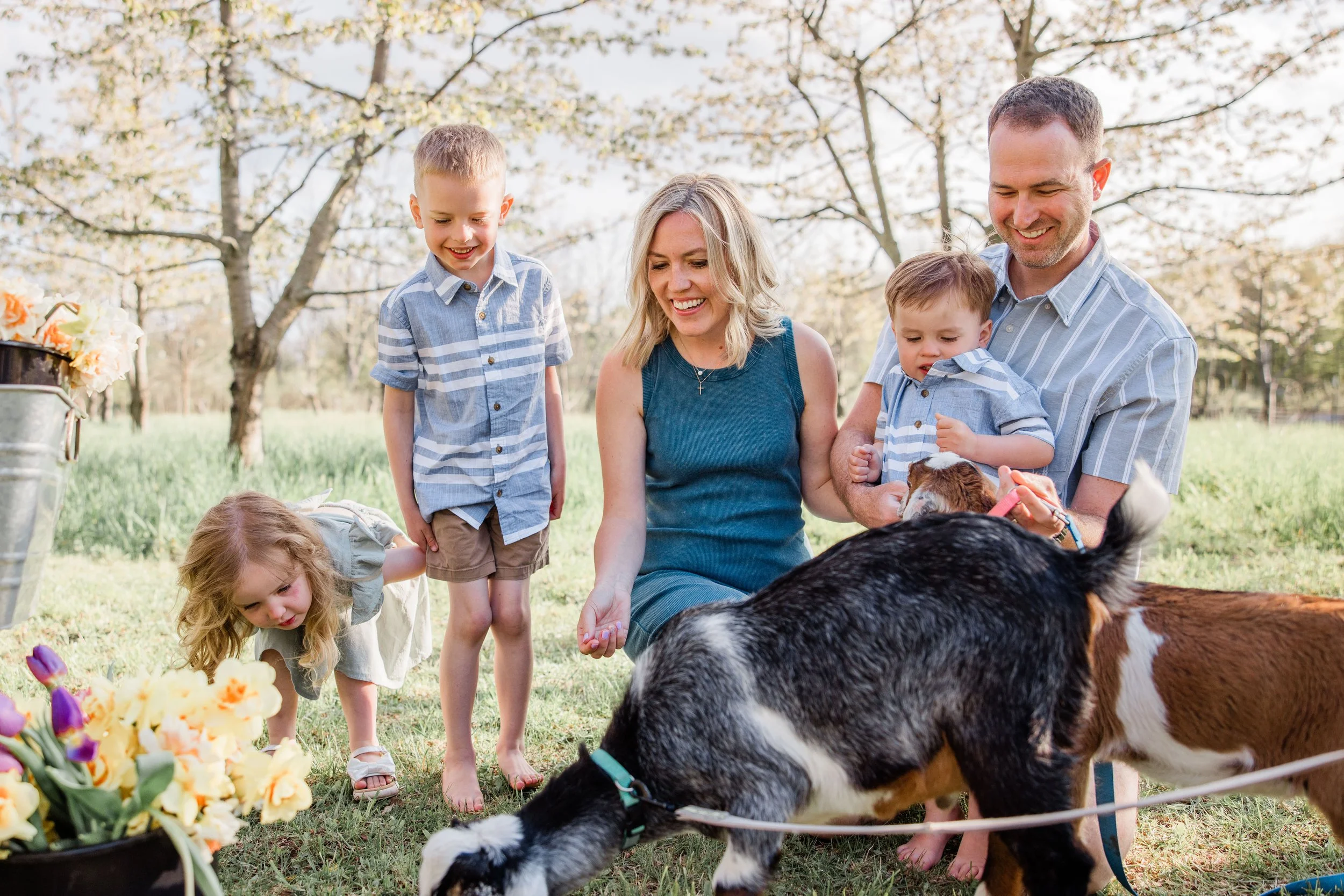 Goats and Blooms Mini Sessions-2.jpg