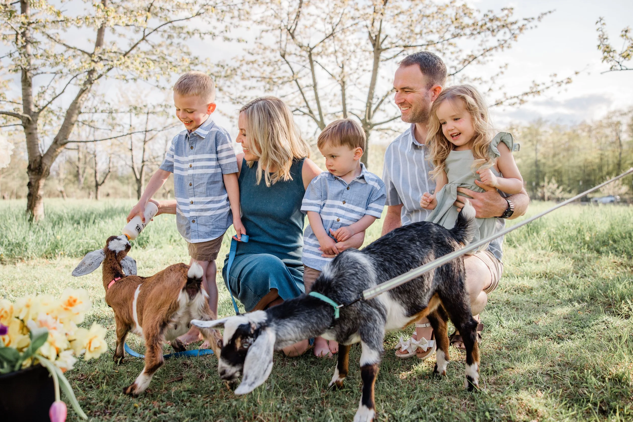 Goats and Blooms Mini Sessions-3.jpg