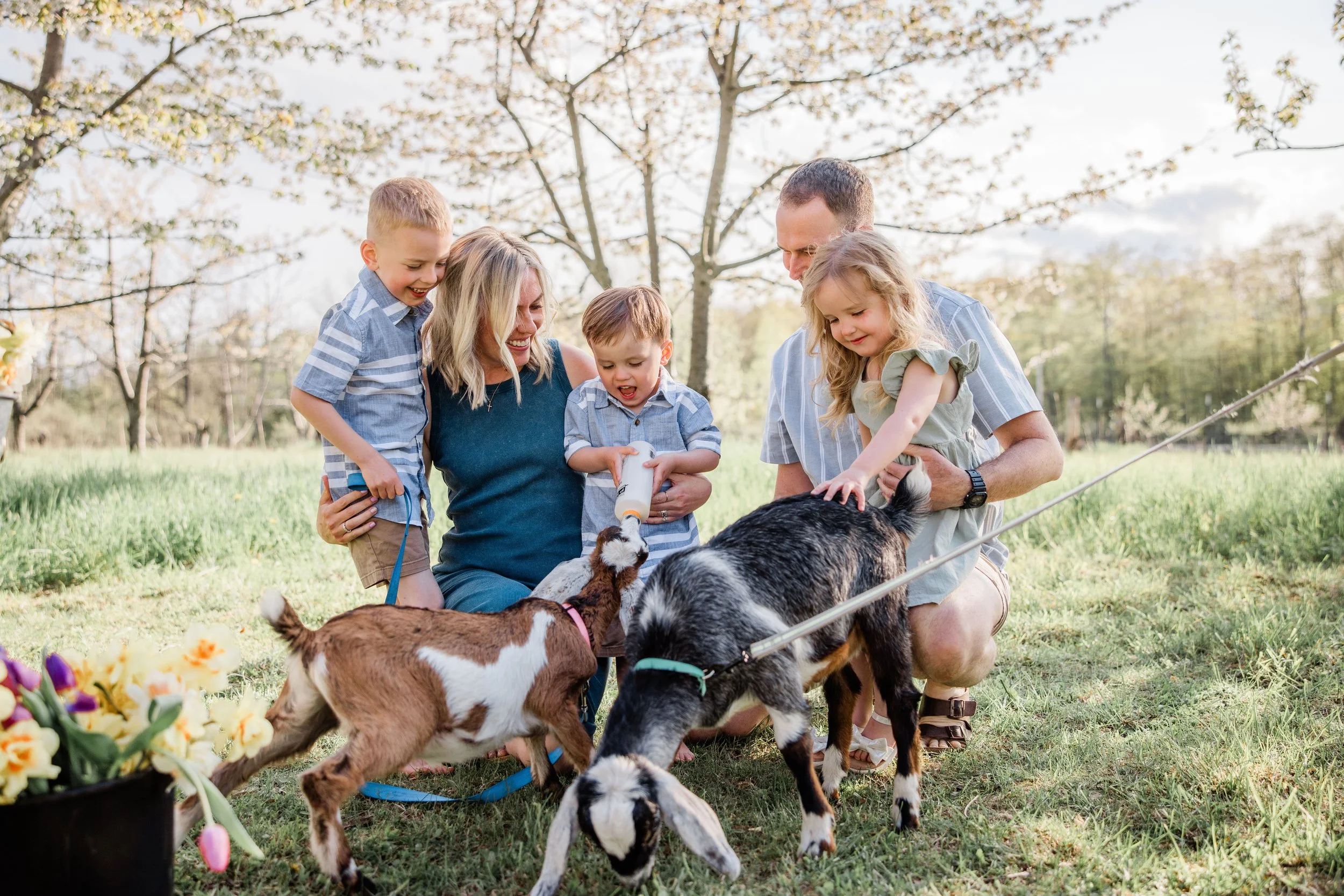 Goats and Blooms Mini Sessions-4.jpg