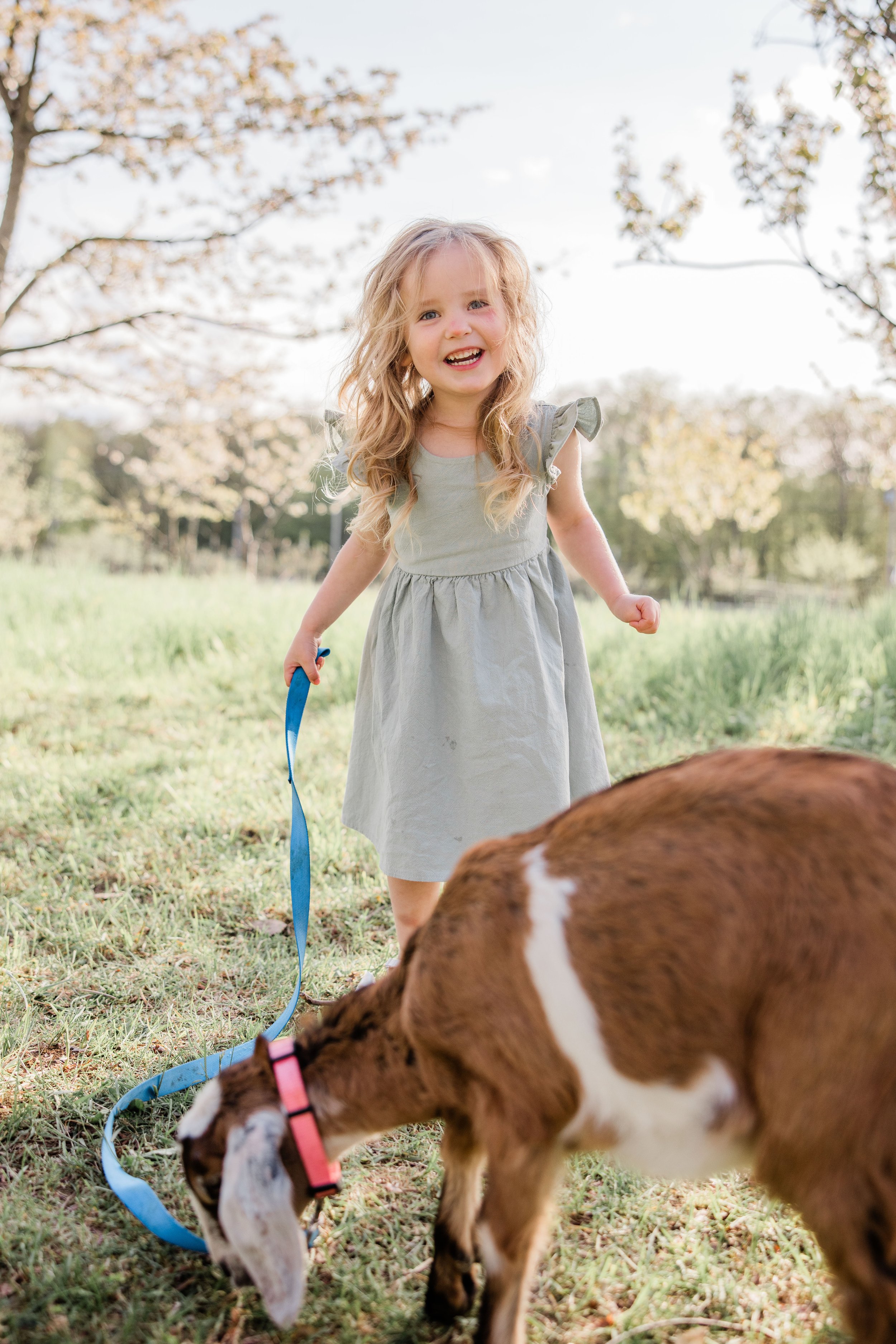 Goats and Blooms Mini Sessions-6.jpg