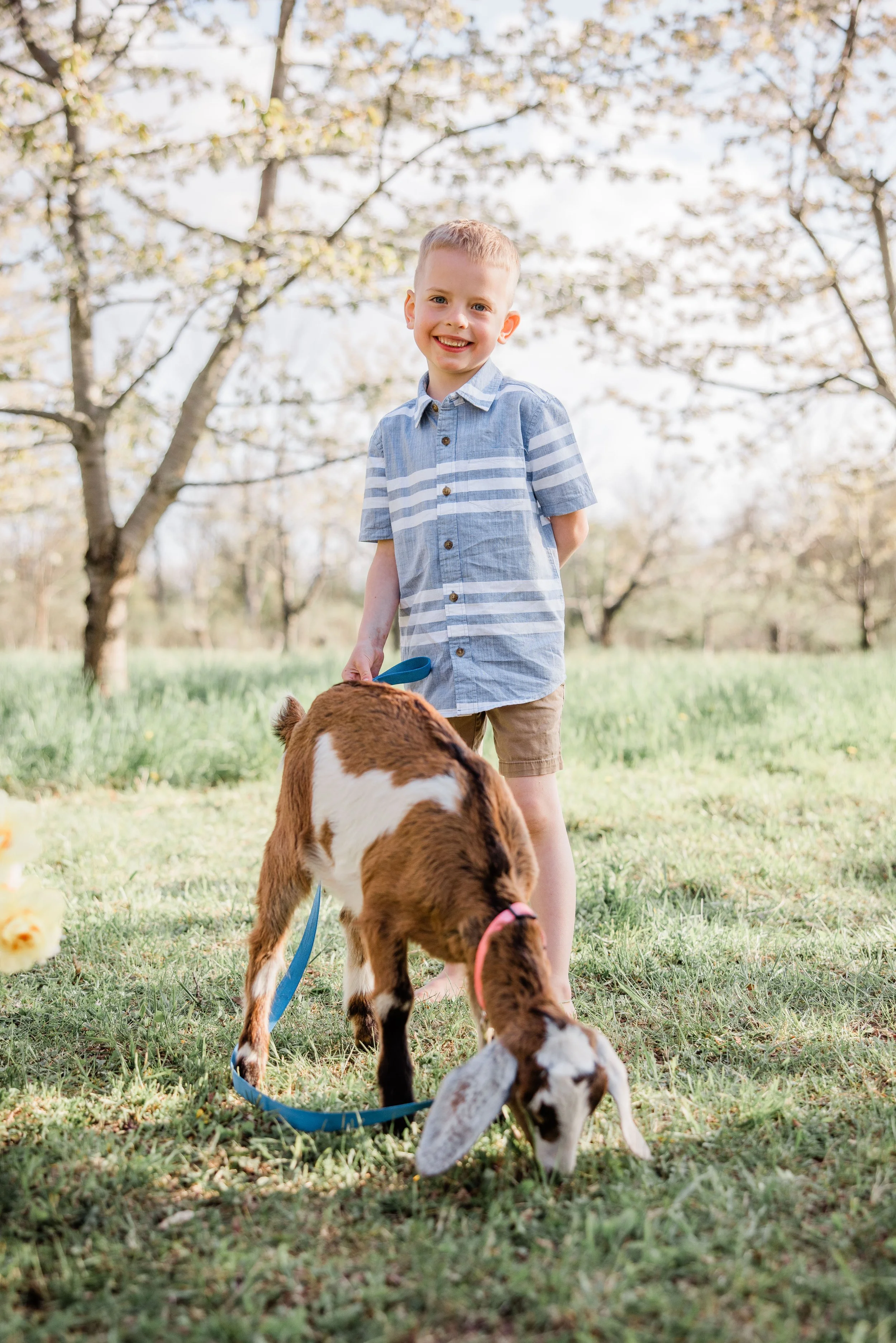 Goats and Blooms Mini Sessions-5.jpg